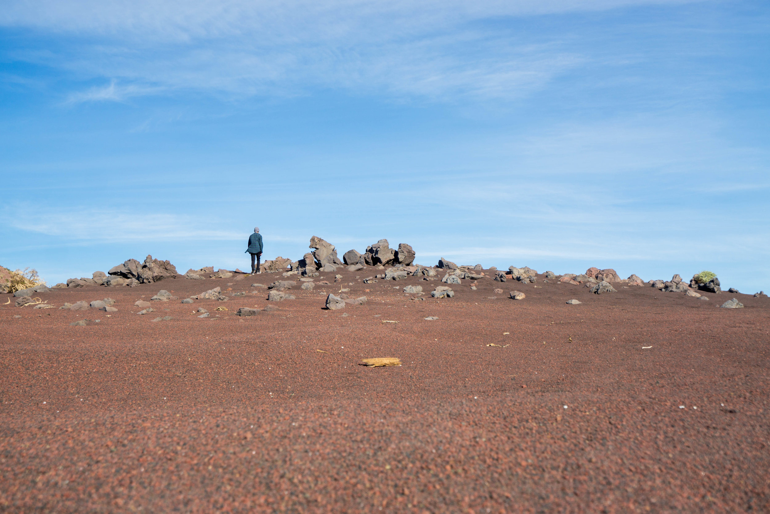 Drawn in by the alluring space-age scenery we wandered about, cloaked in near silence.