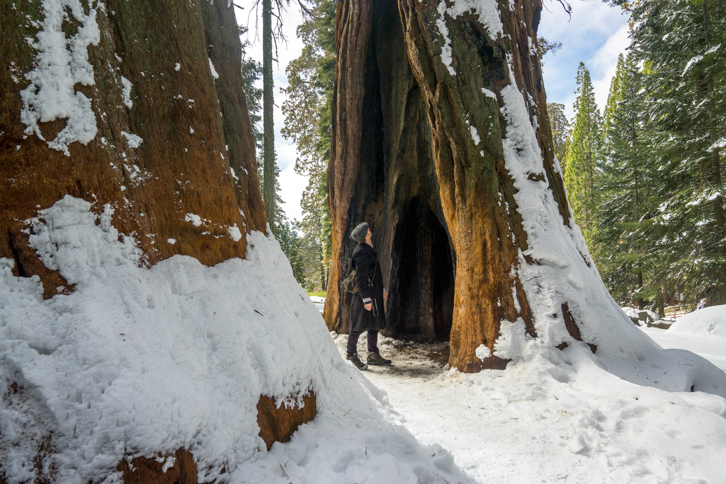 We wrap up our hike with one last grand view. Fittingly two sequoias stand like pillars of a gateway guiding our exit.