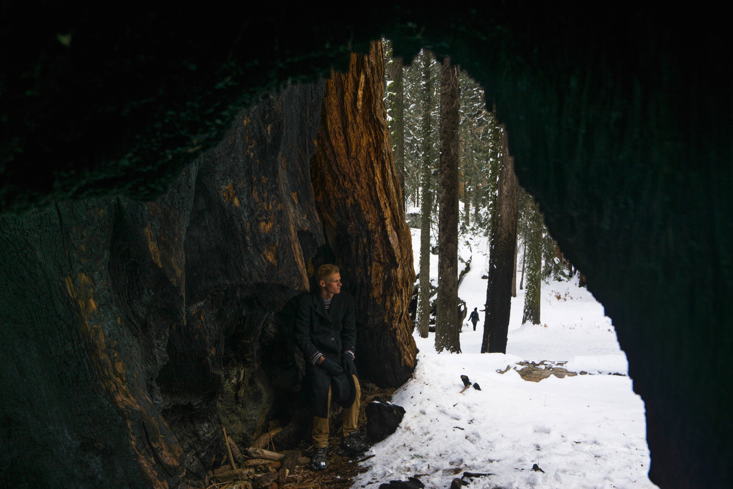 Inside the two trees we once again feel completely dwarfed.