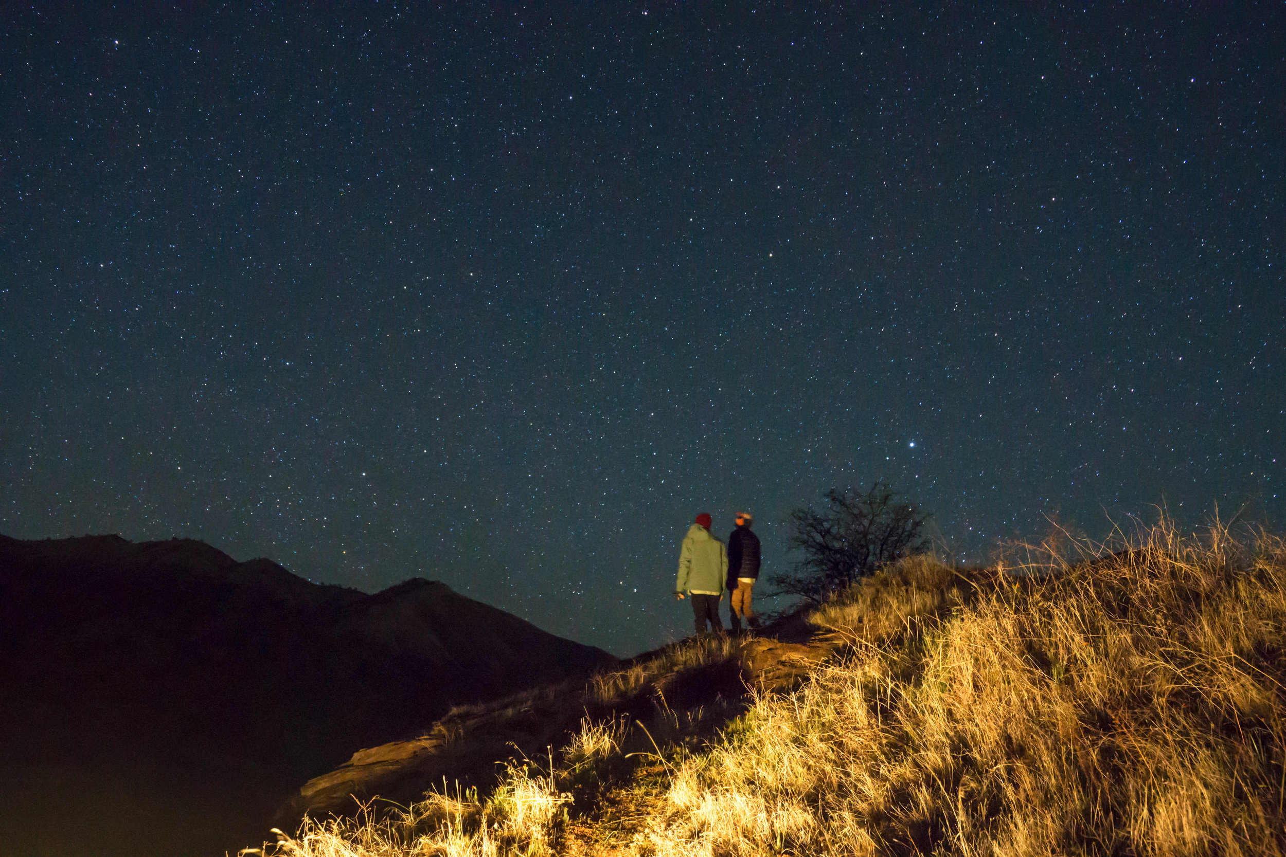 We spend a couple of hours stargazing &amp; excitedly planning out the next day's misadventures. A huge snowstorm has just passed through the redwood forest. Few sights rival its beauty.