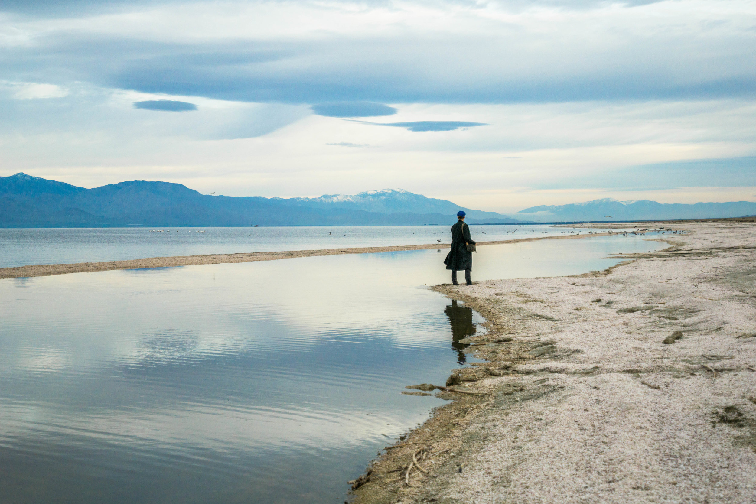 At a whopping 35 miles long &amp; 15 miles wide, one cannot see the entire body of the Salton from the ground level. 