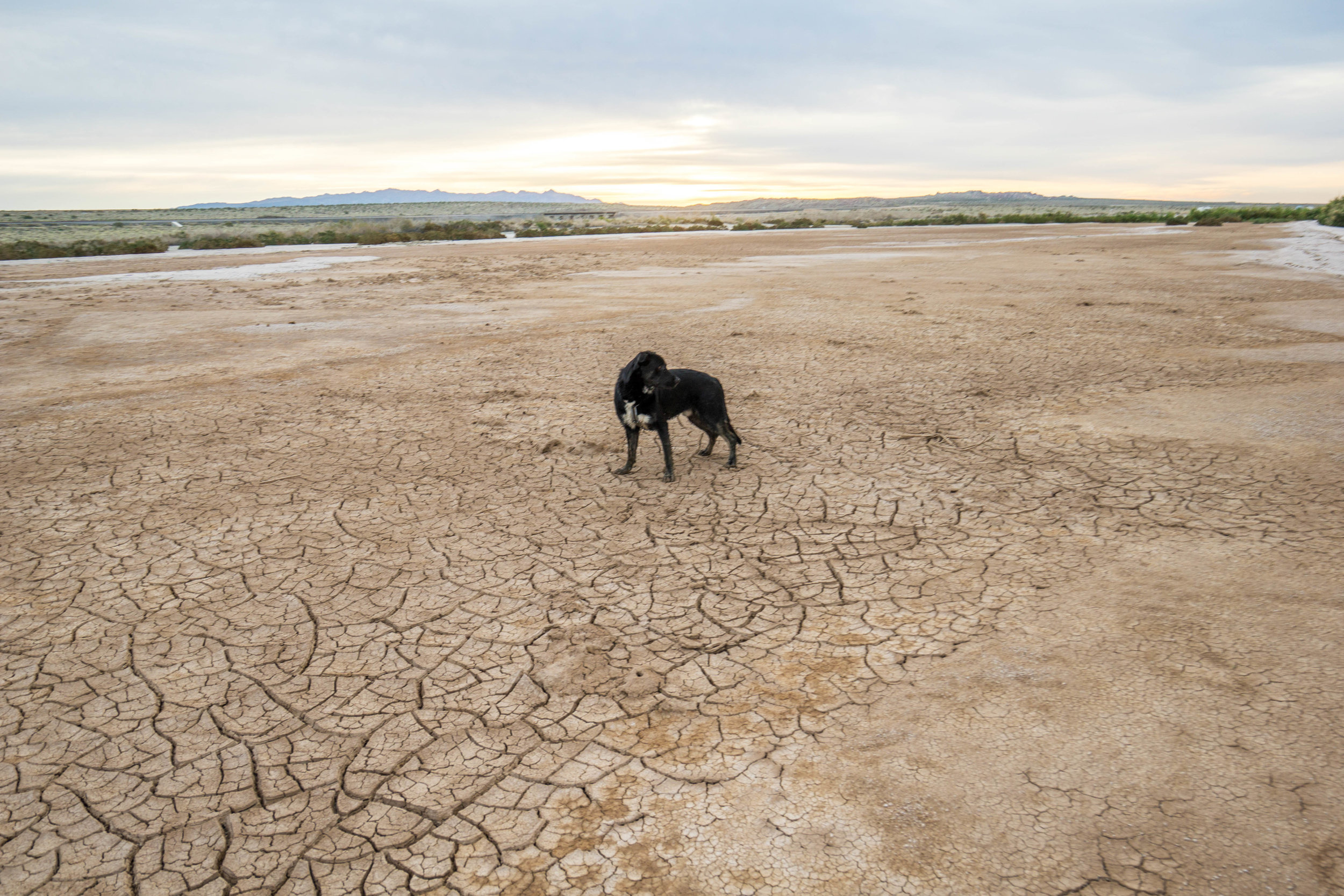 The desert's aridity is evident even next to California's largest lake. In fact, without a spill from a Colorado River water pipe &amp; agricultural run-off, there wouldn't even be a lake here.