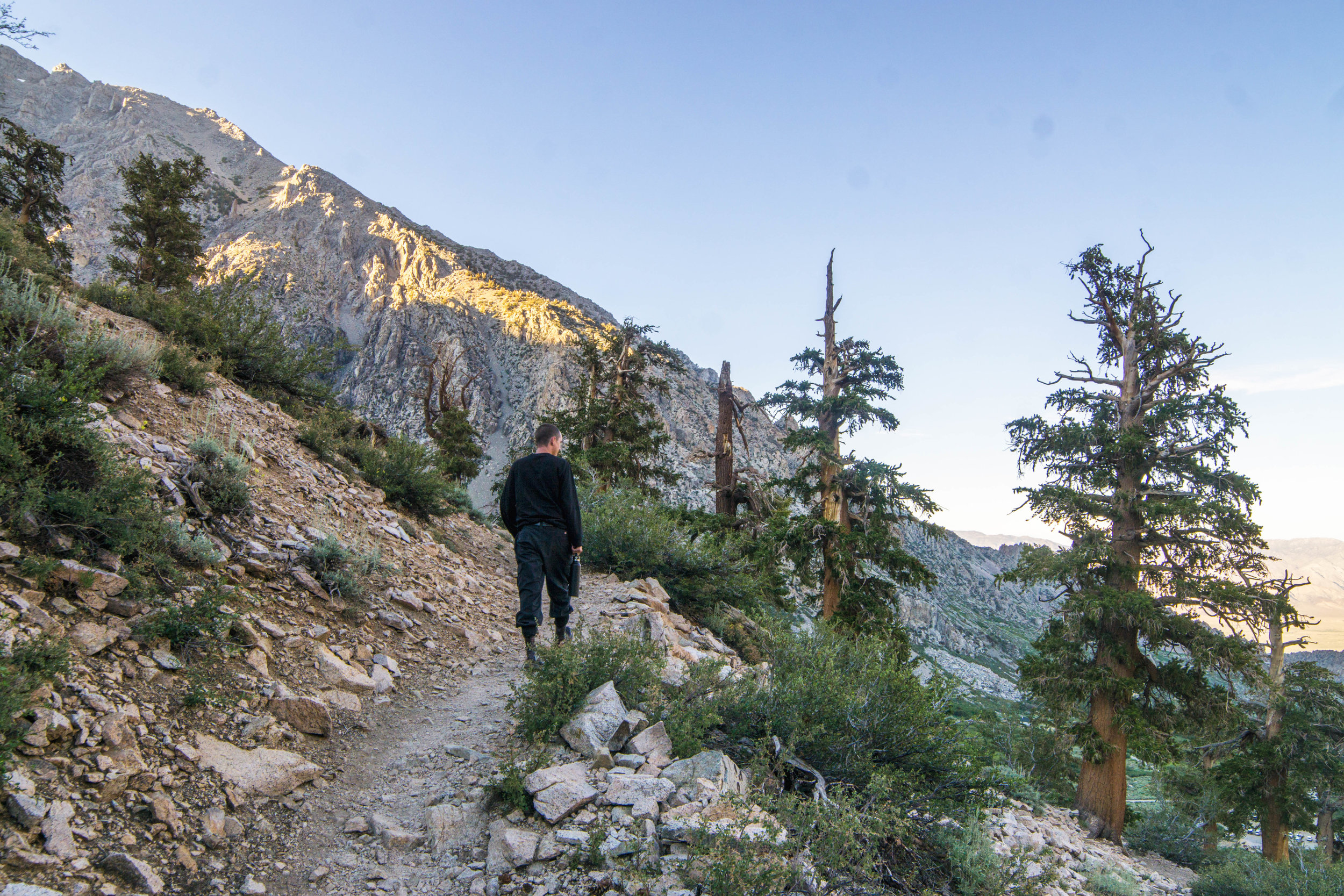 While we found no bears, we sure found plenty of steep terrain &amp; wind battered trees..