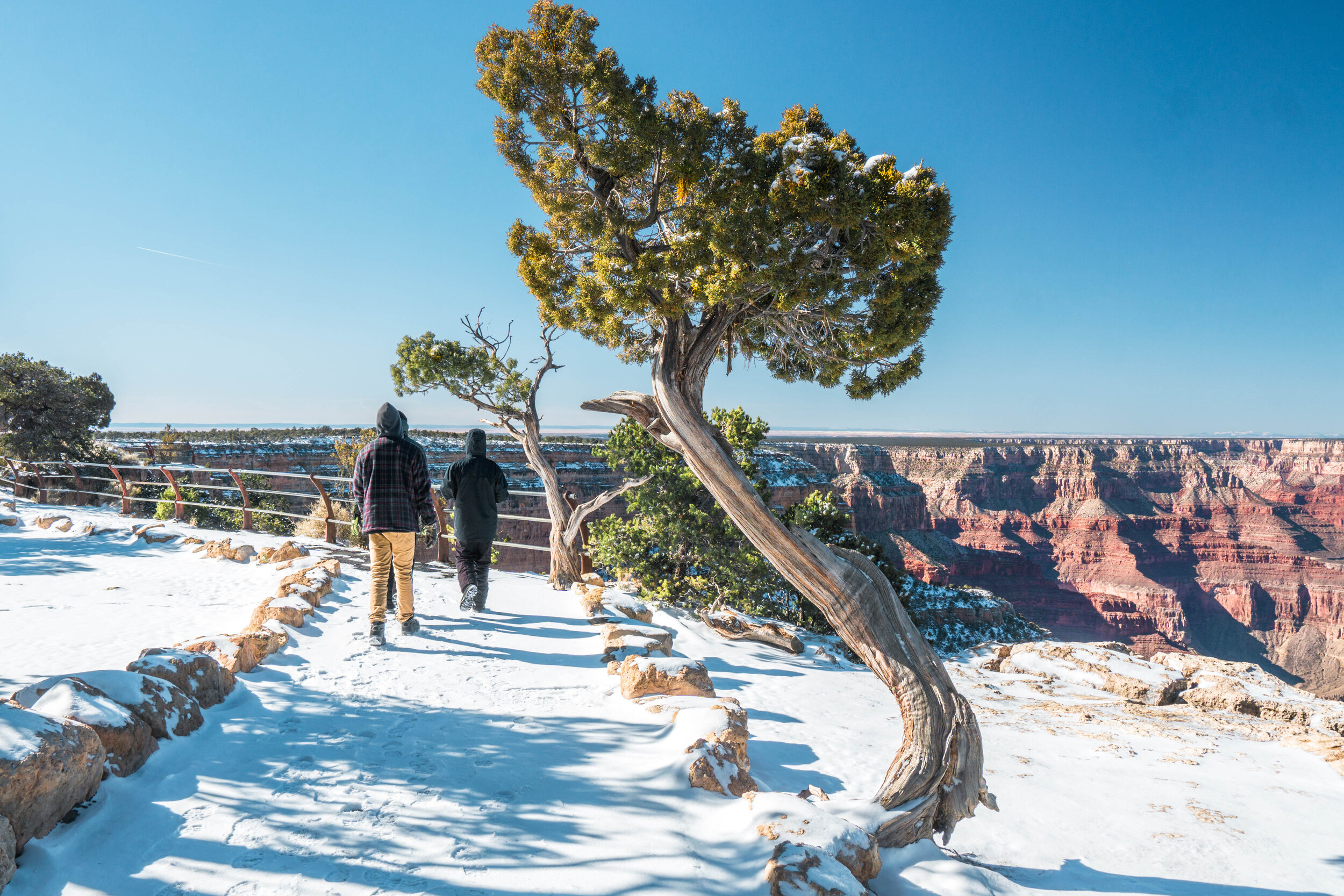 Once set to more serious matters, we ventured along a new stretch of the Grand Canyon rim.