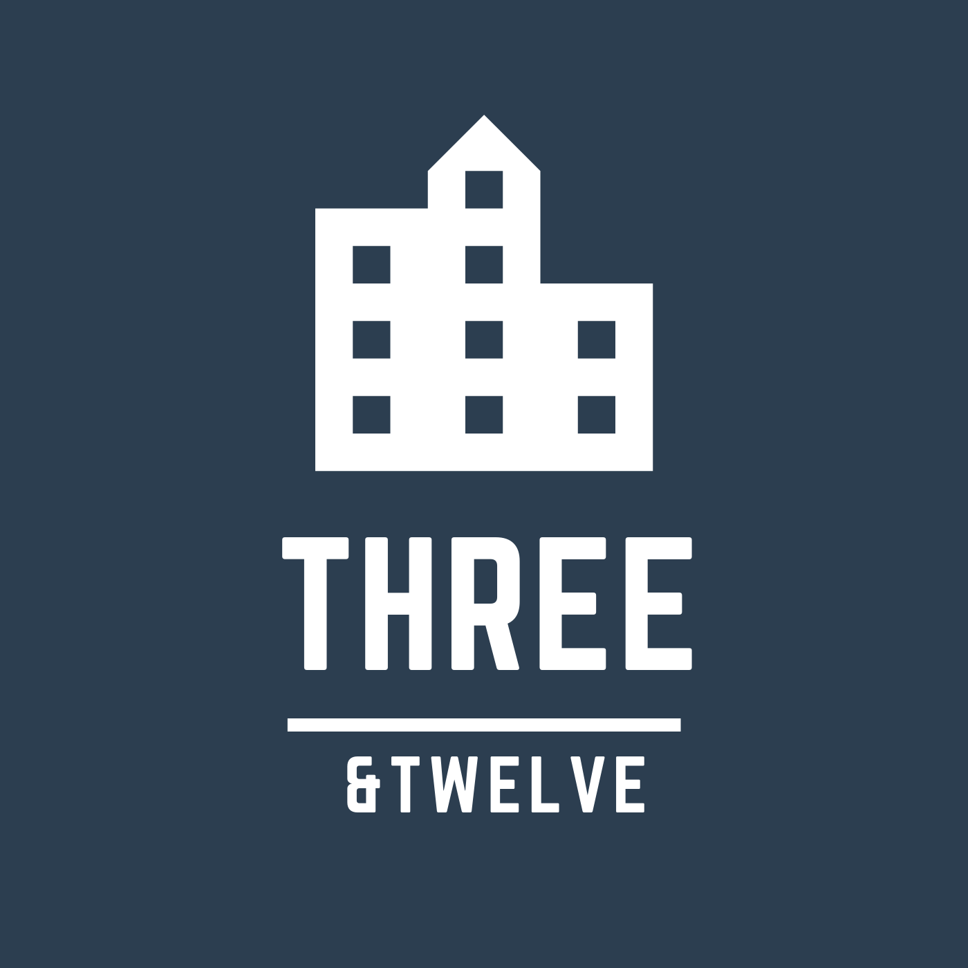 3 & 12 Strategic Organizational Development: Including twelve-month strategic guidance post development