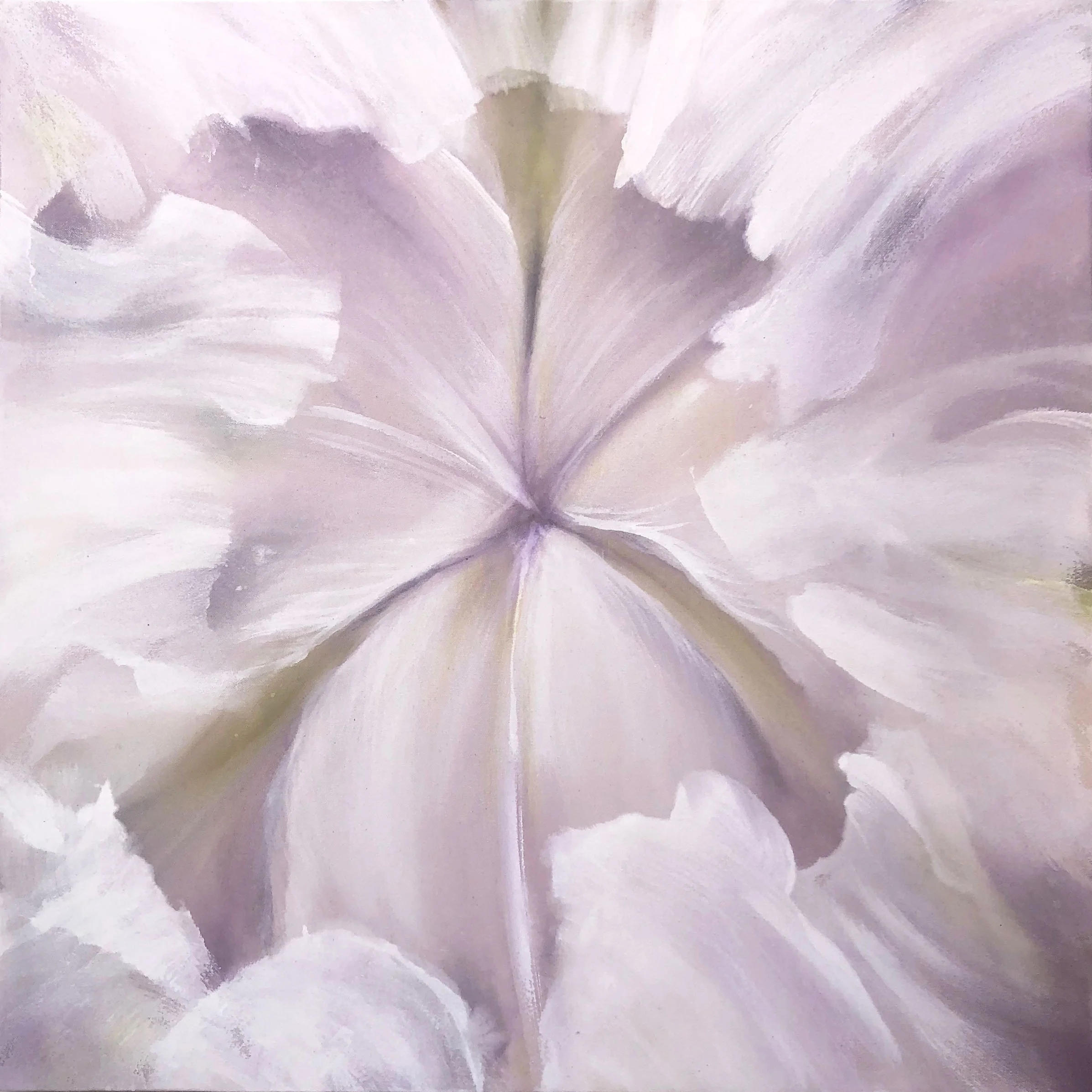 iriswhite.jpg