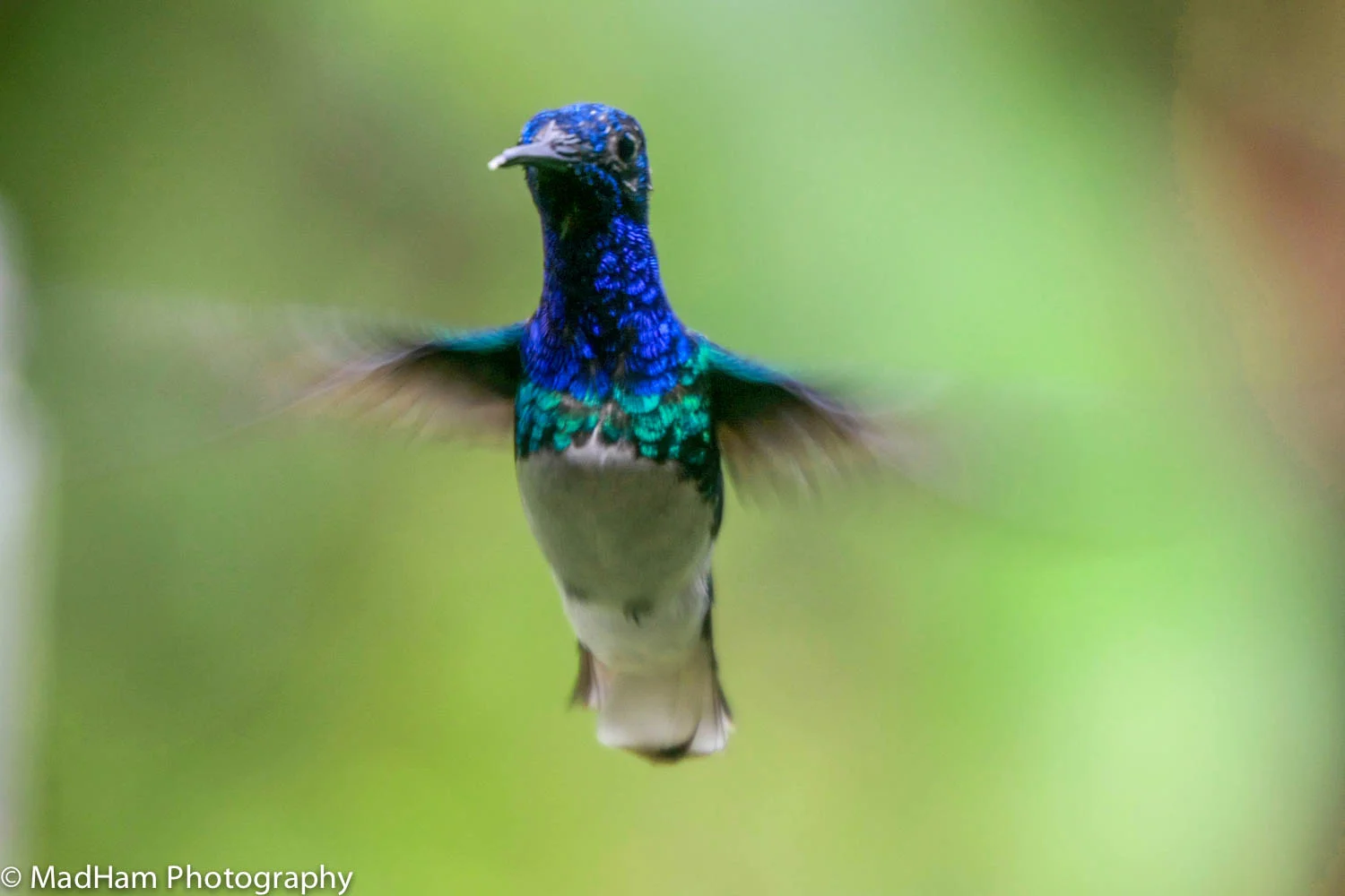 Frozen in Flight