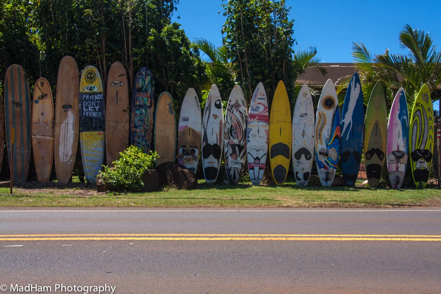 Friends Don't Let Friends Surf