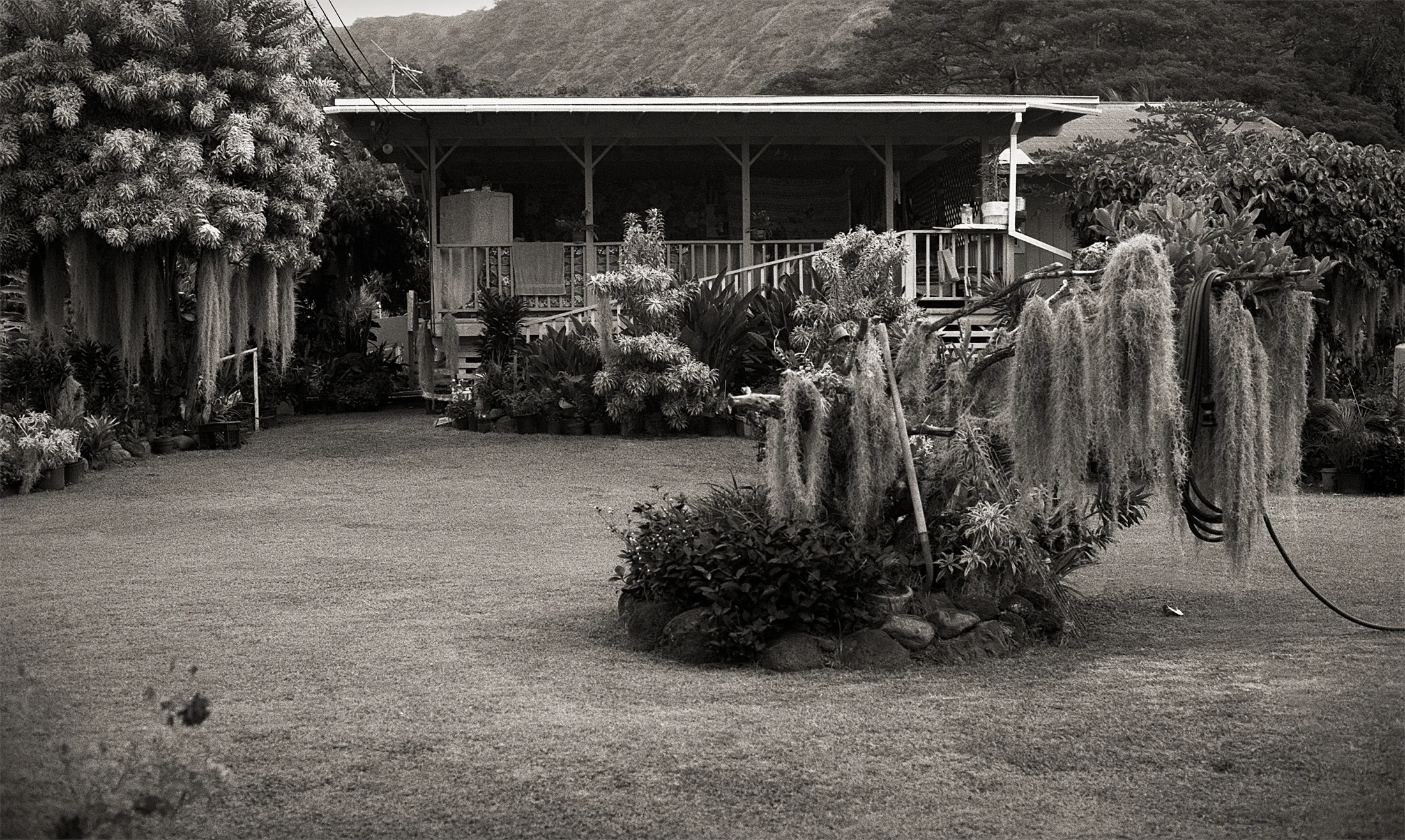 Grandpa's House