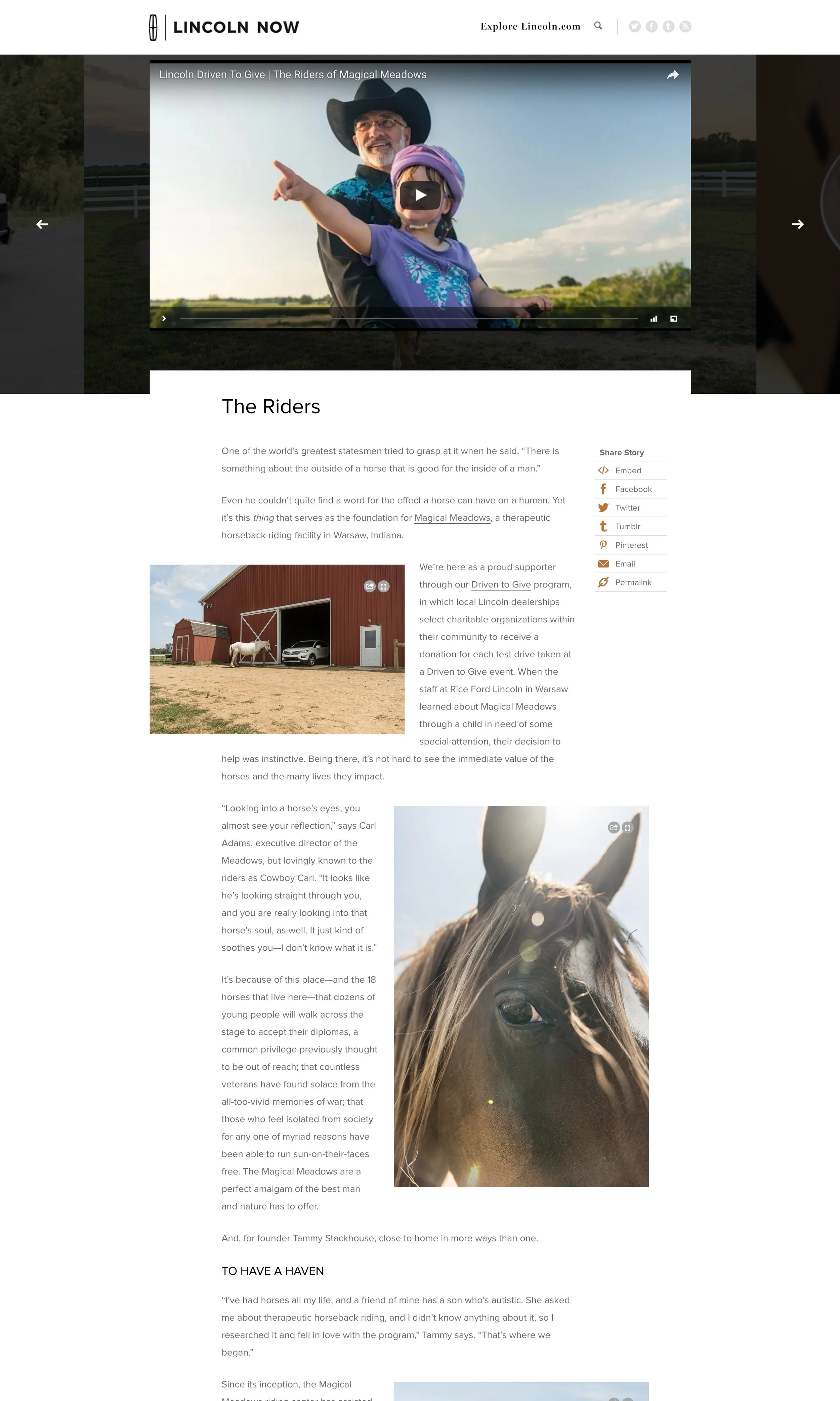 Magical Meadows article.jpeg