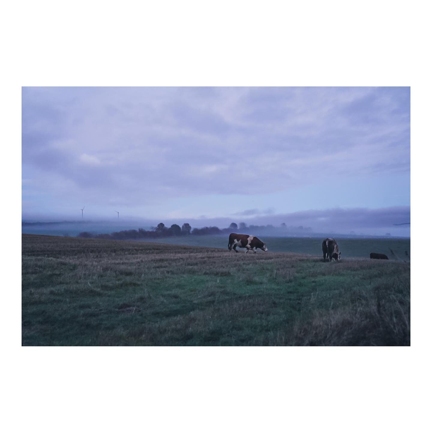 Daily dose of Scotland. By 3:30 in the afternoon, the autumn sun cedes to clouds, fog, hills and trees, creating a long contrast for 2 hours before fading into the blackest night.  When I was a college freshman, we had a 24 hour assignment in archite