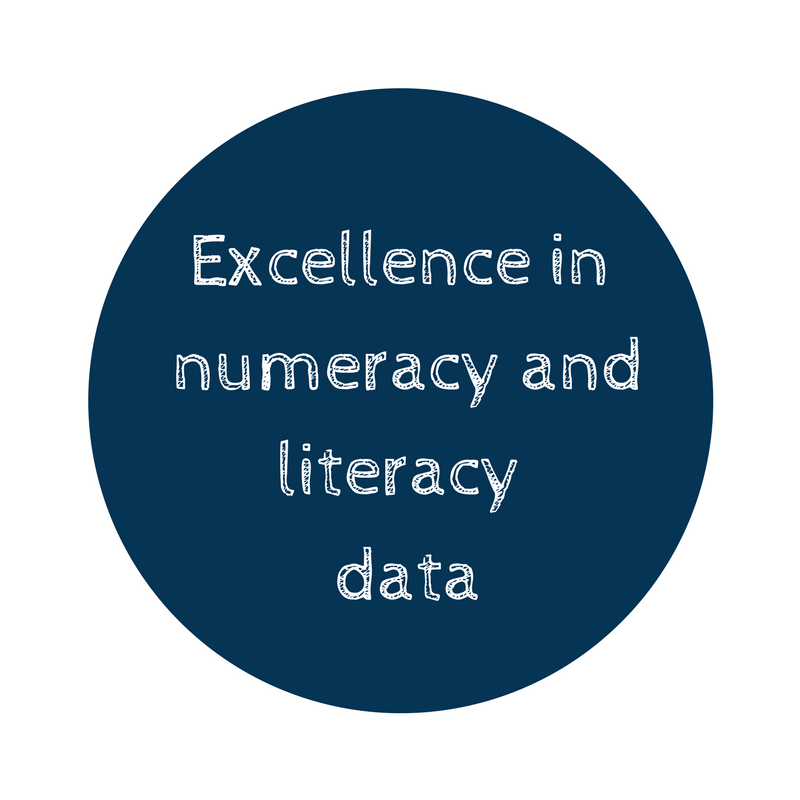 Excellence in numeracy and literacy data.png
