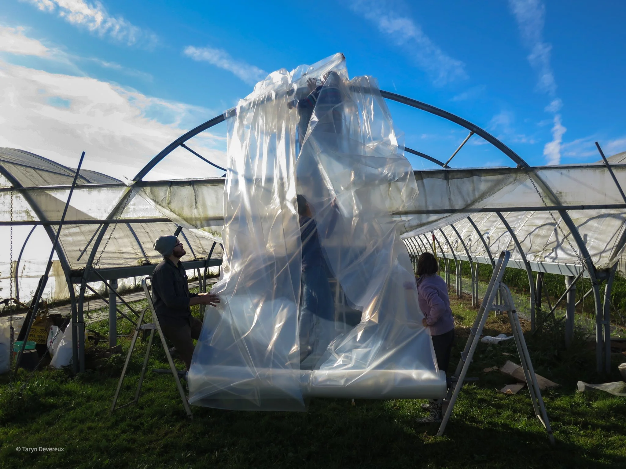 Greenhouse, Orléans, France (Digital)