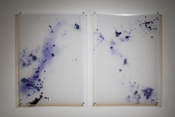 Mnemone 1, 2009 Digital Print on Acetate
