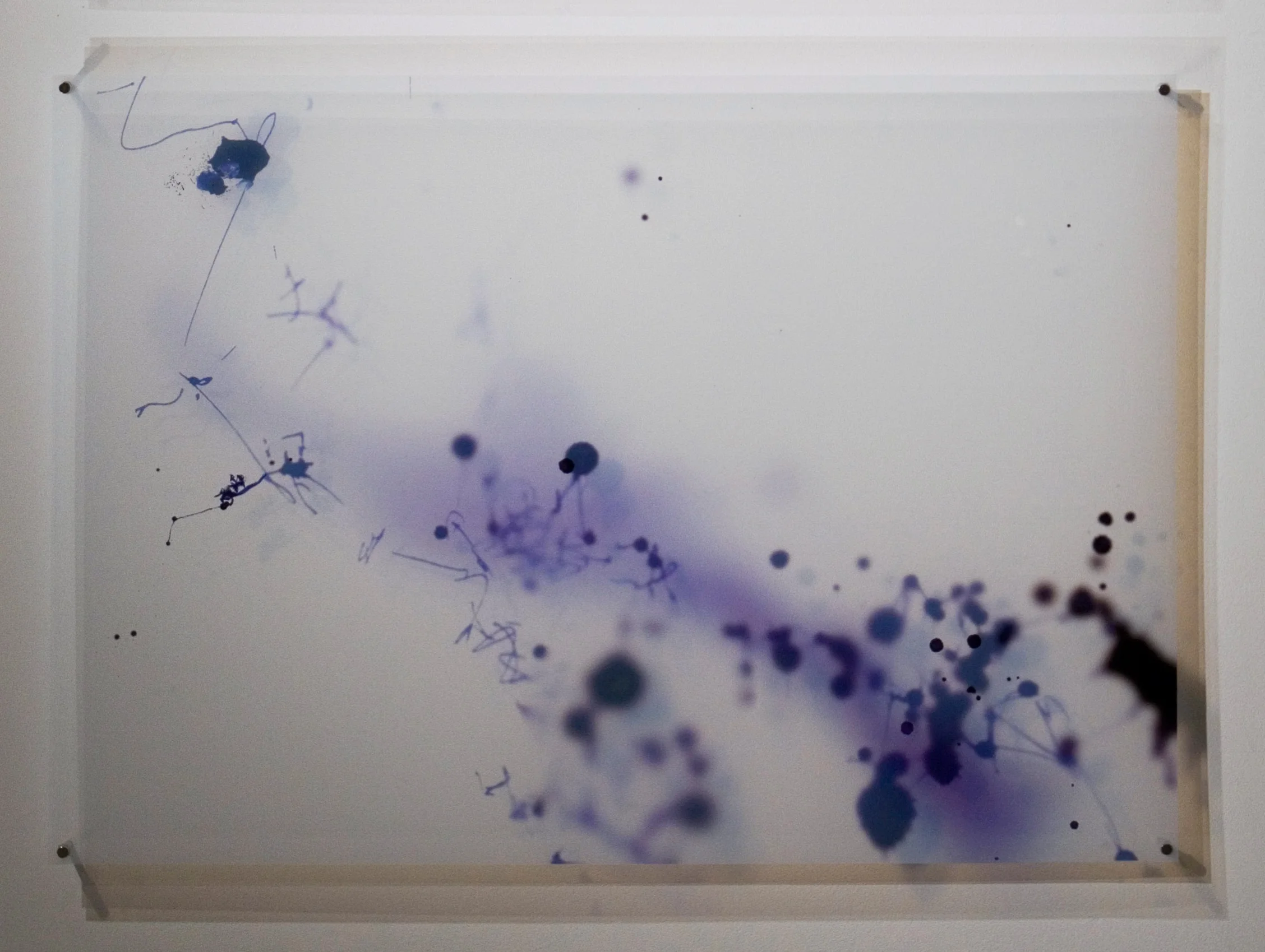 Mnemone 2, 2009 Digital Print on Acetate