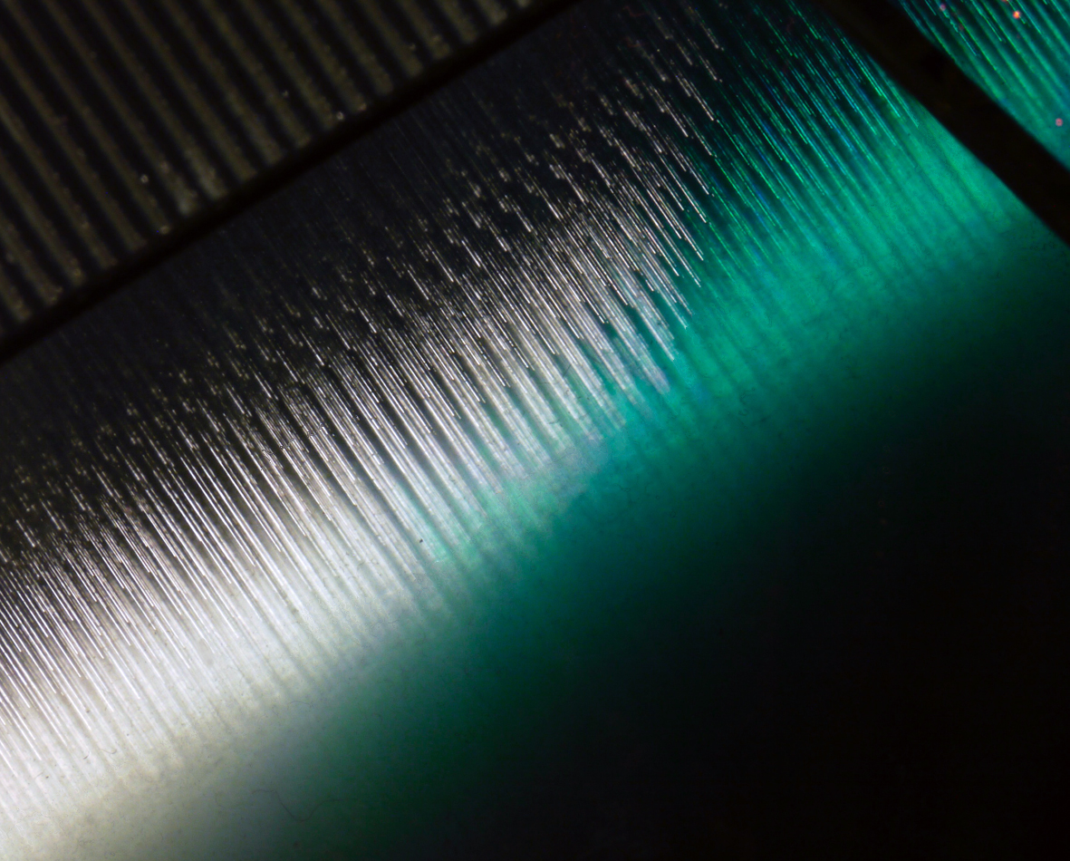 Terminus — image 3