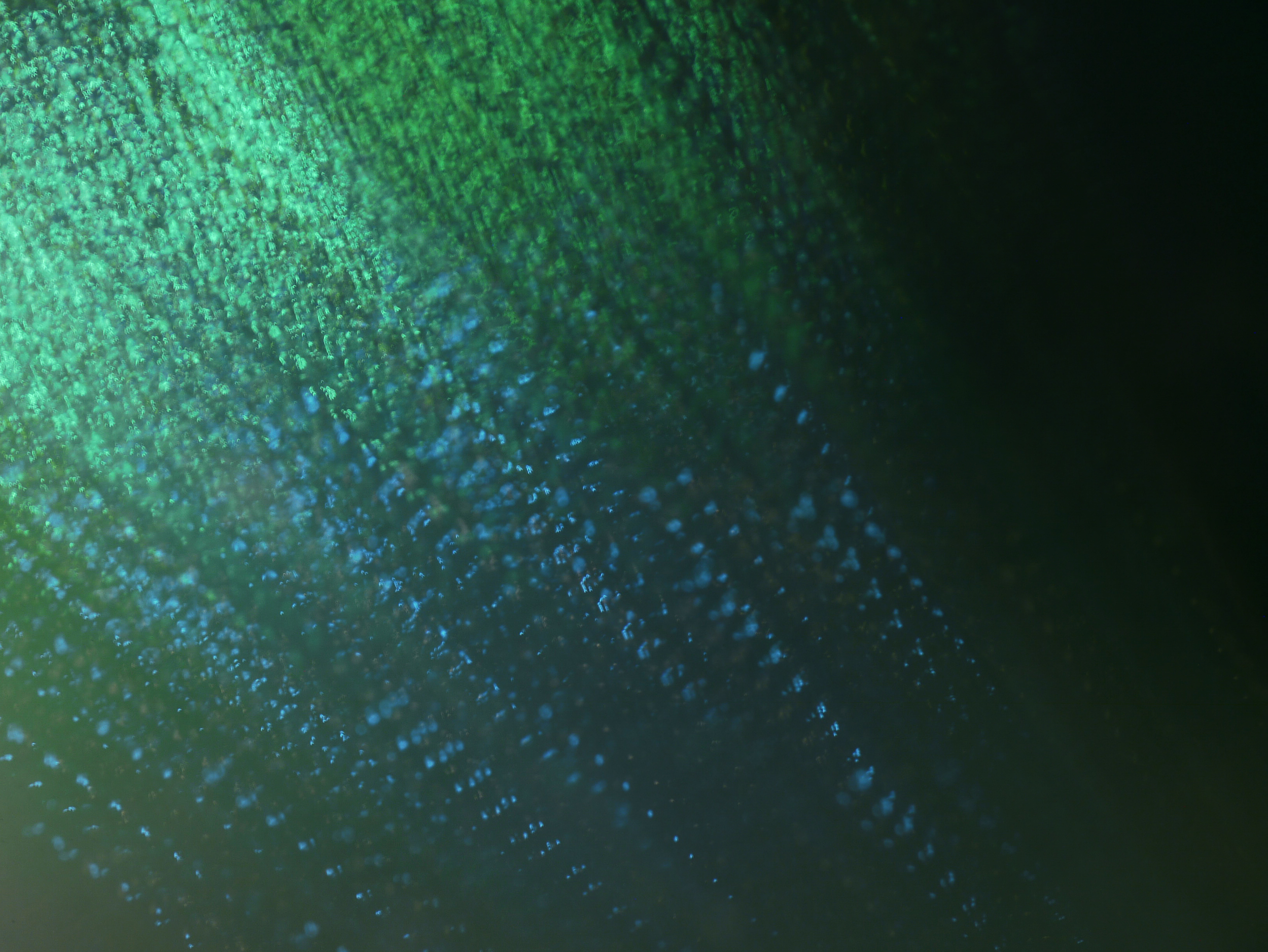 Blue.jpg