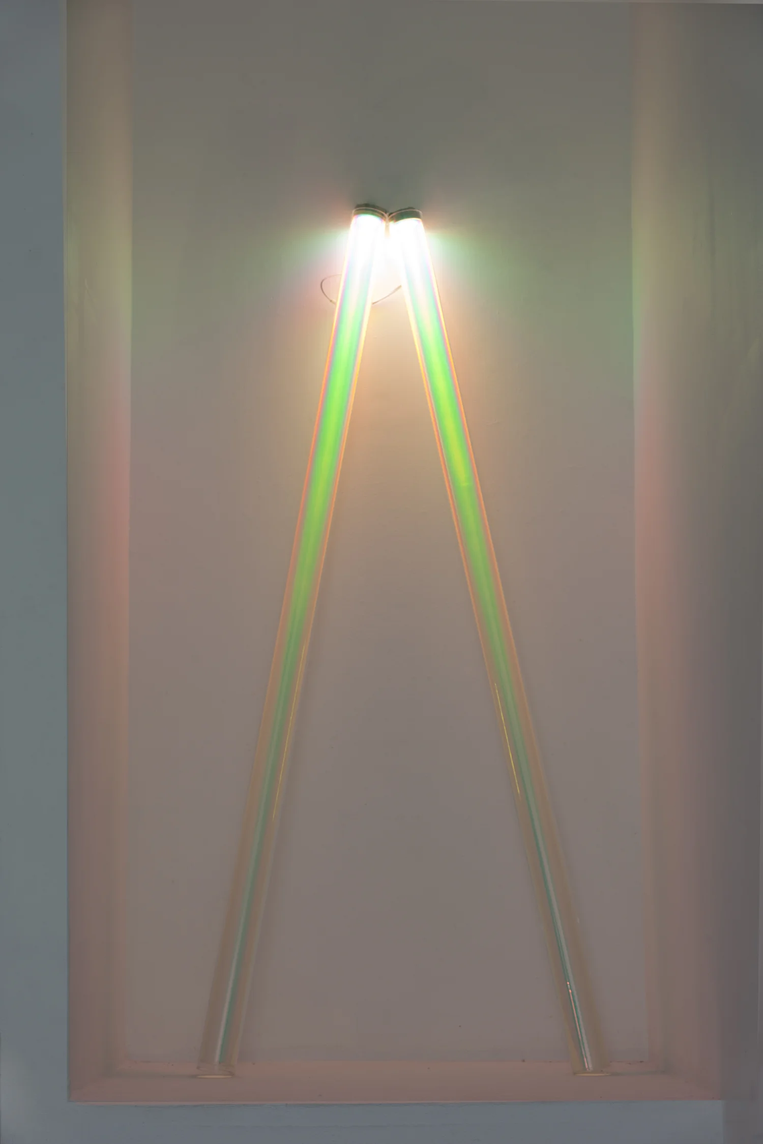 Sectum Spectra — image 12