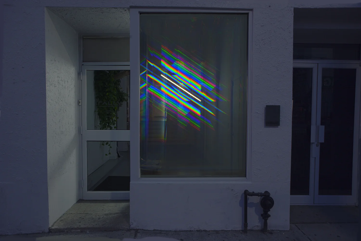 Sectum Spectra — image 7
