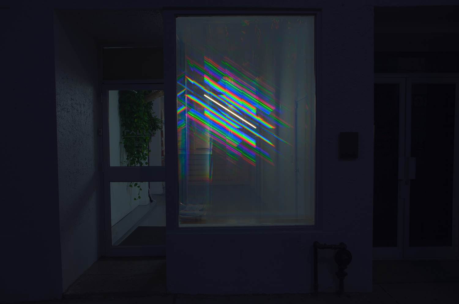 Sectum Spectra — image 16