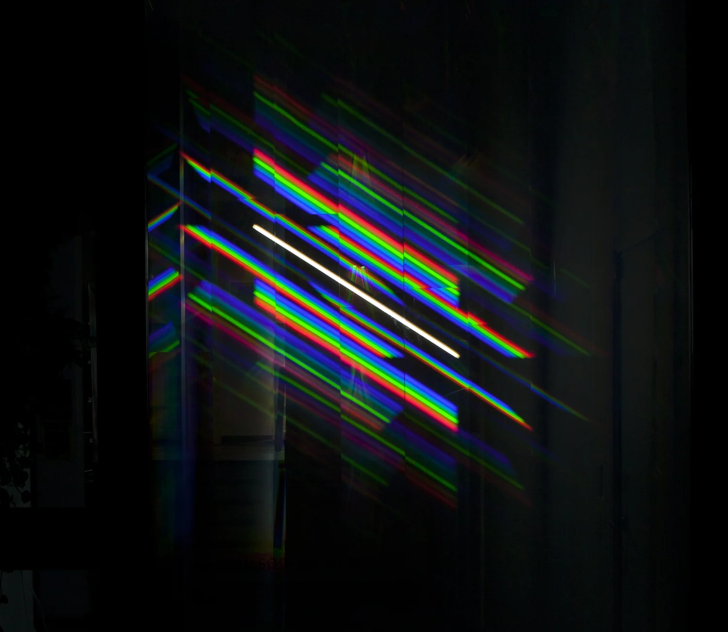 Sectum Spectra — image 8