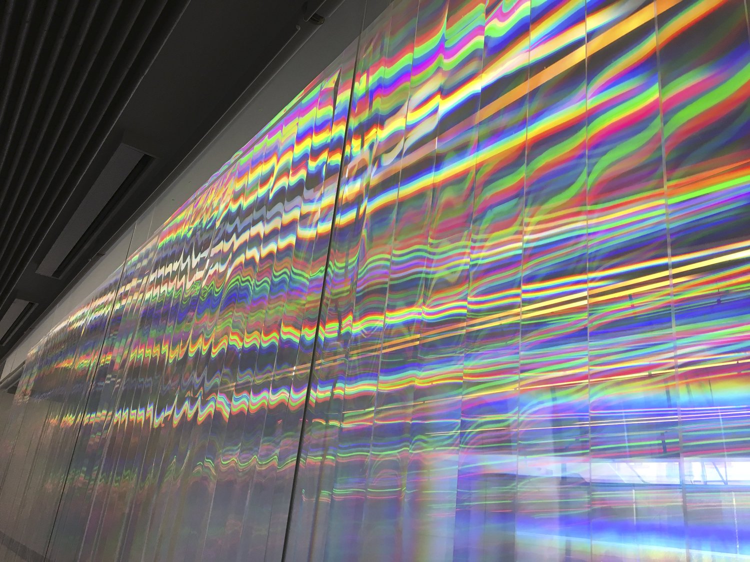 Sectum Spectra — image 3