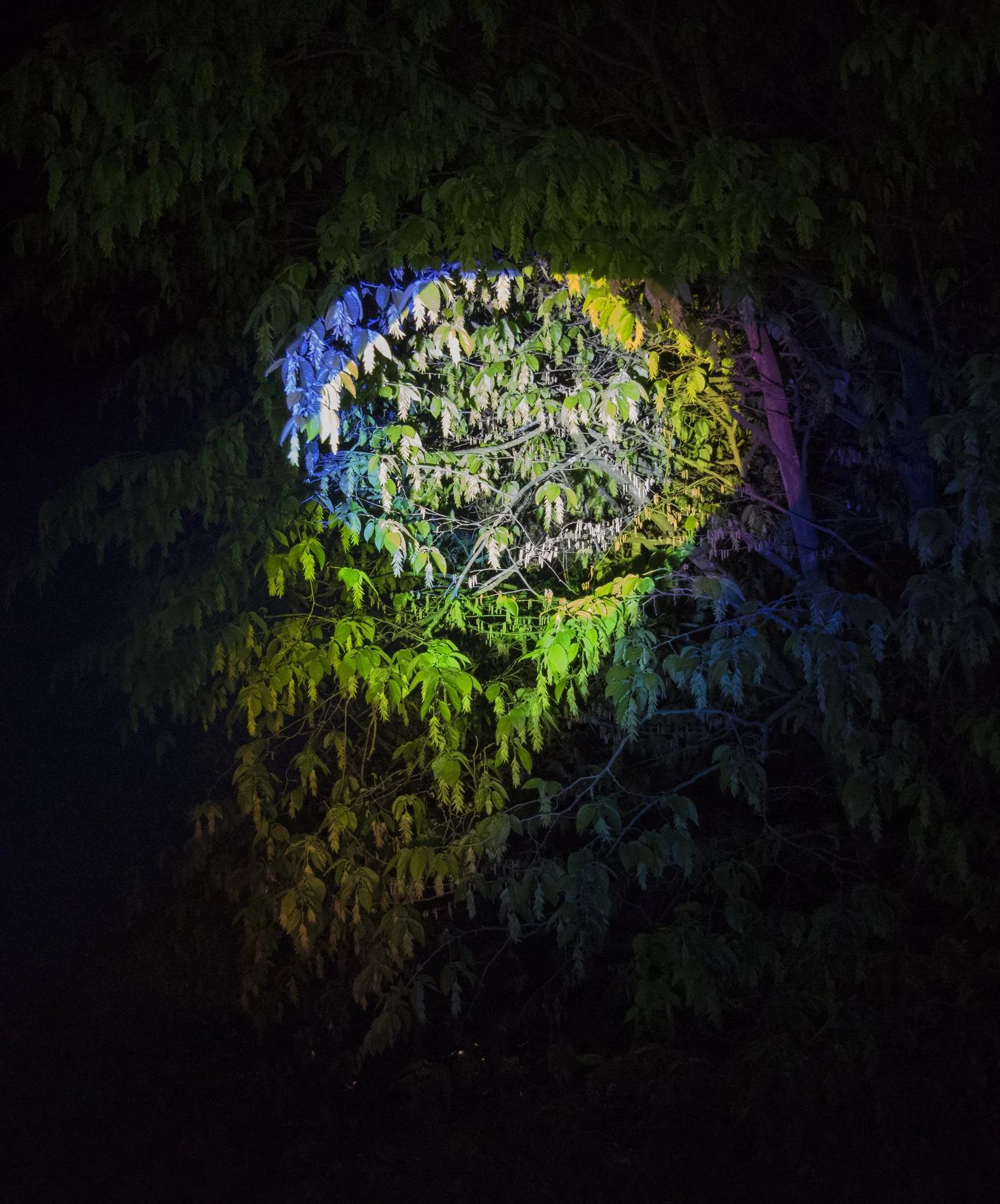 Throwing Shapes — image 4