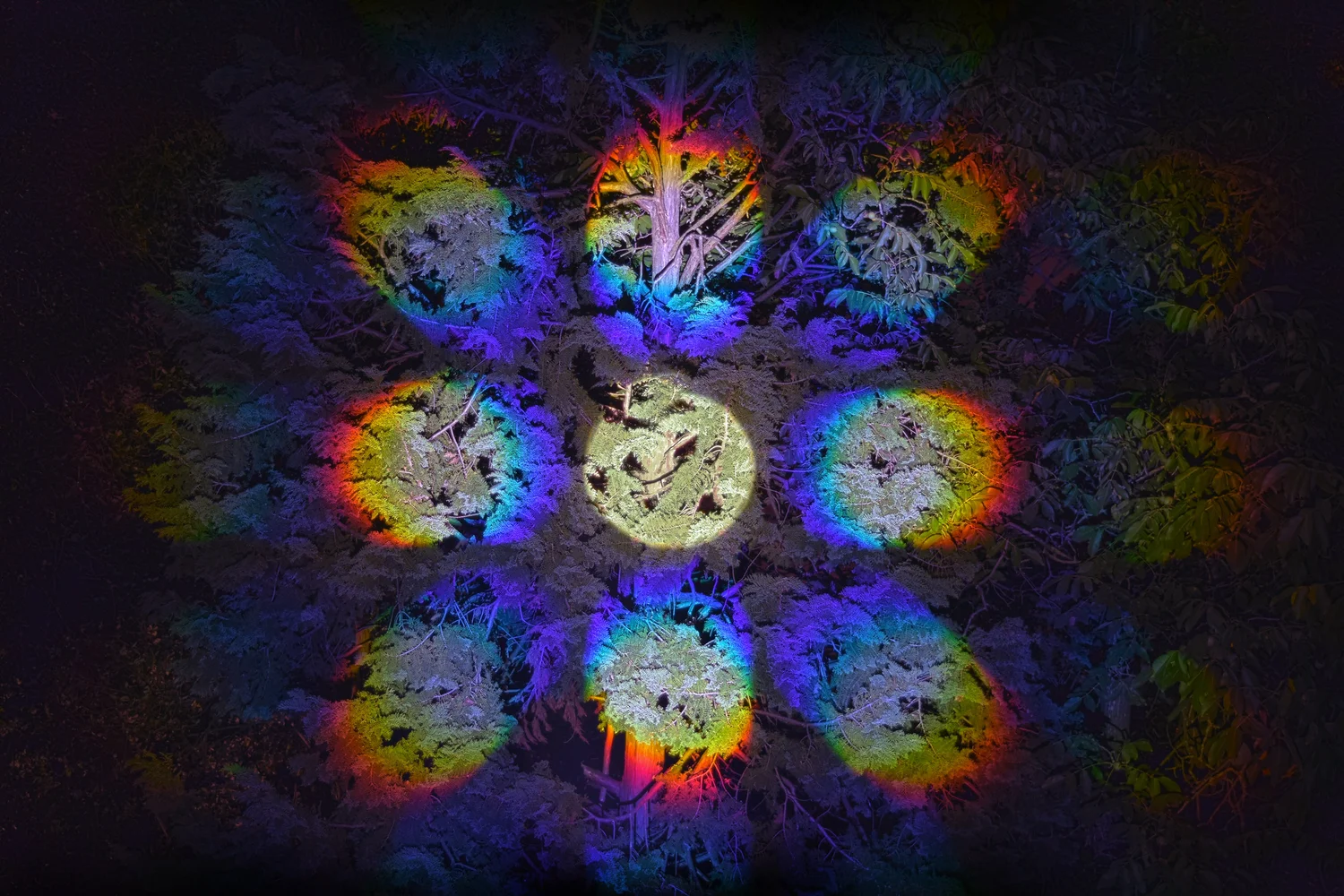 Throwing Shapes — image 2