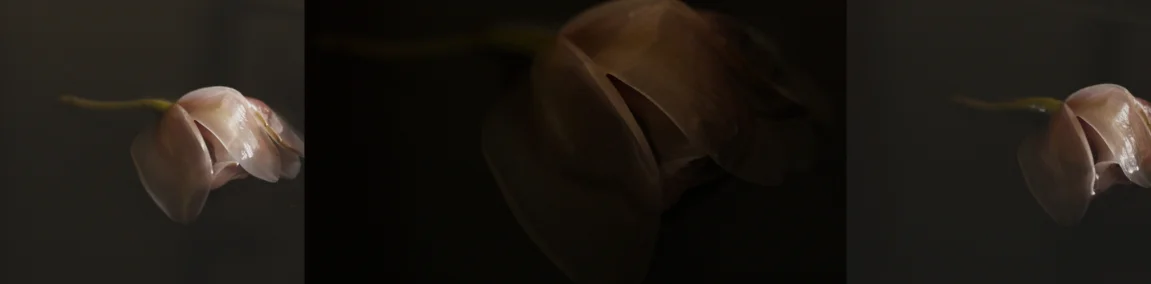 FLOWER.jpg