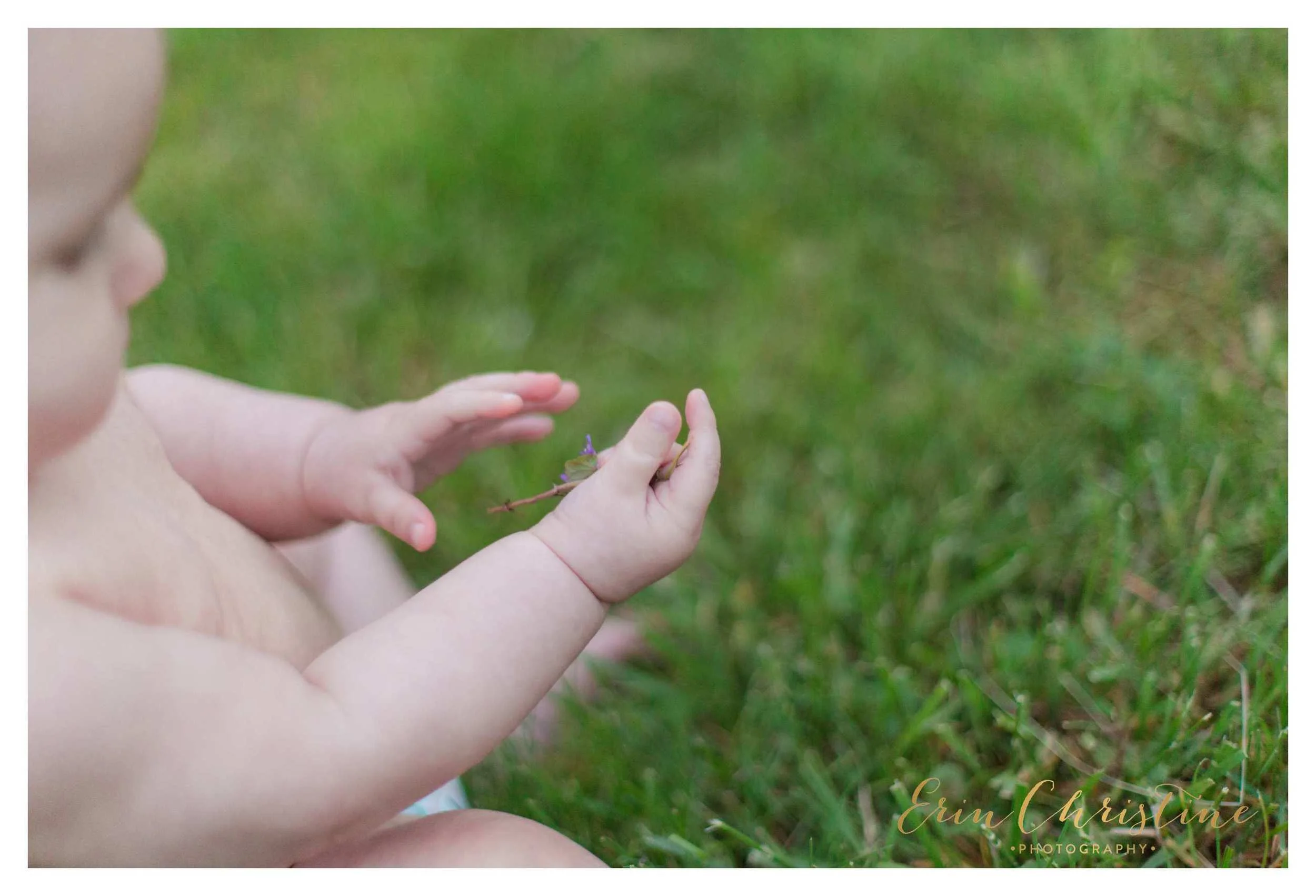 Family Pictures-2786.jpg