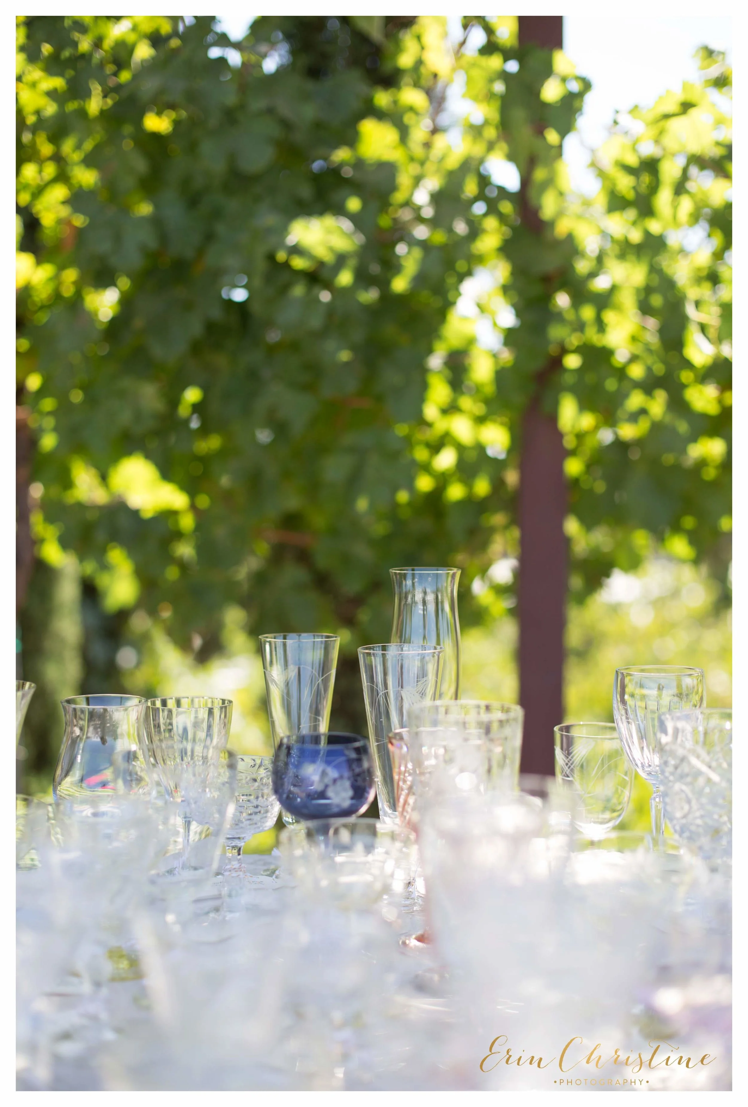 Temecula vineyard Wedding