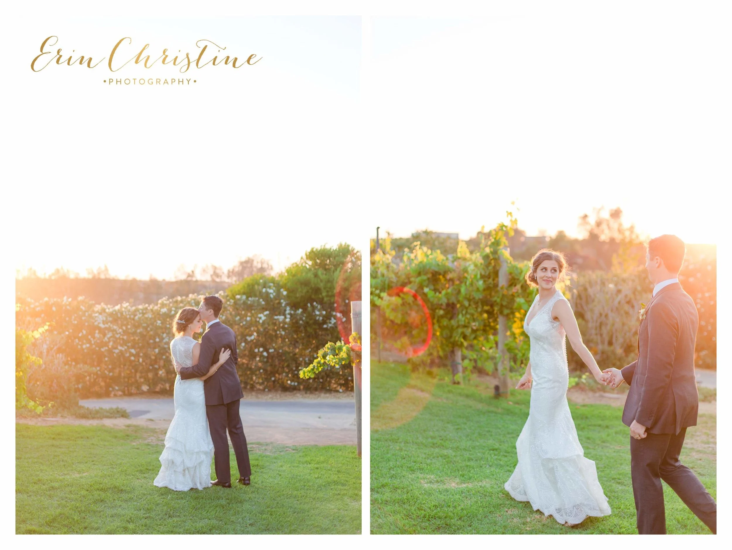 Temecula vineyard Wedding