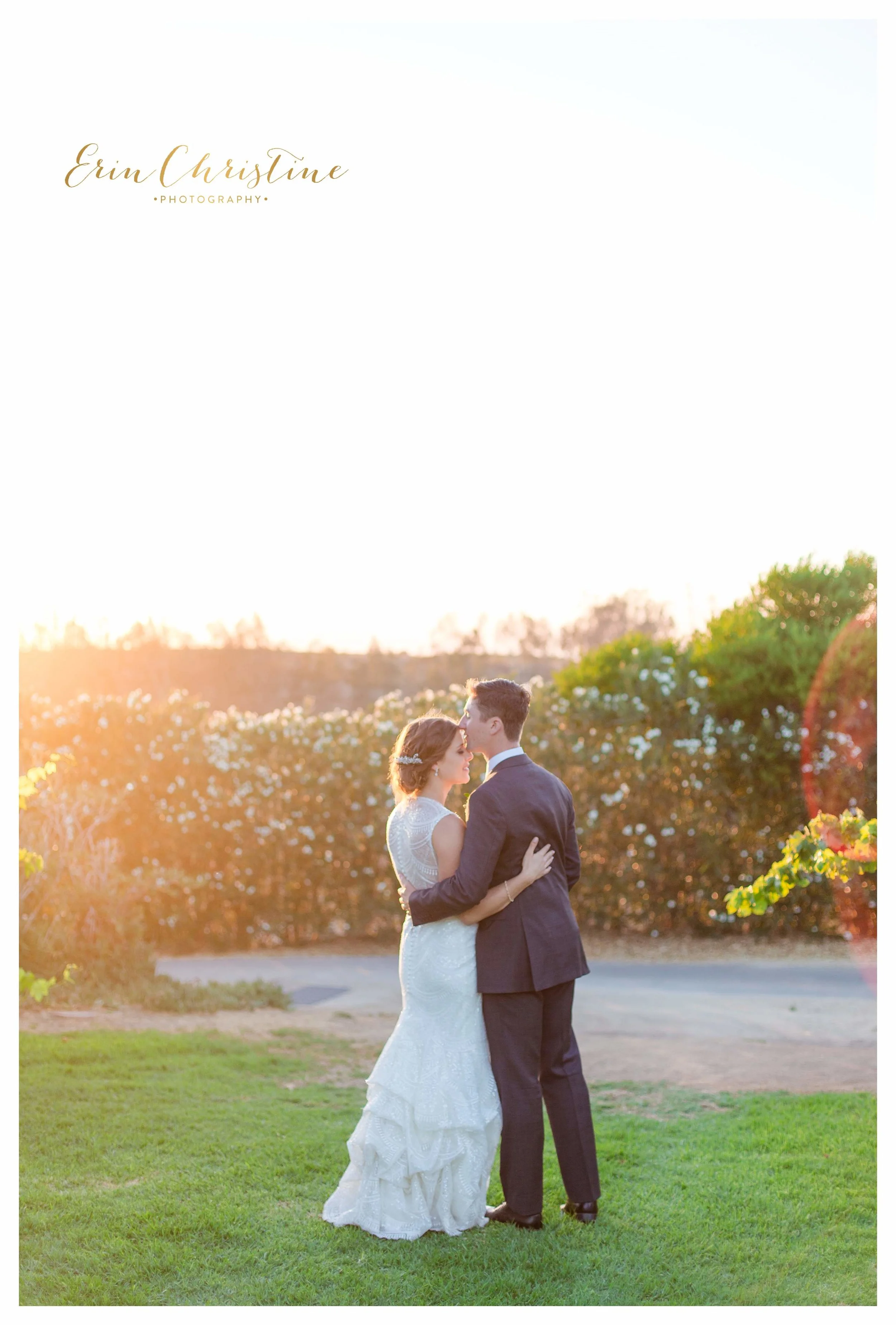Temecula vineyard Wedding