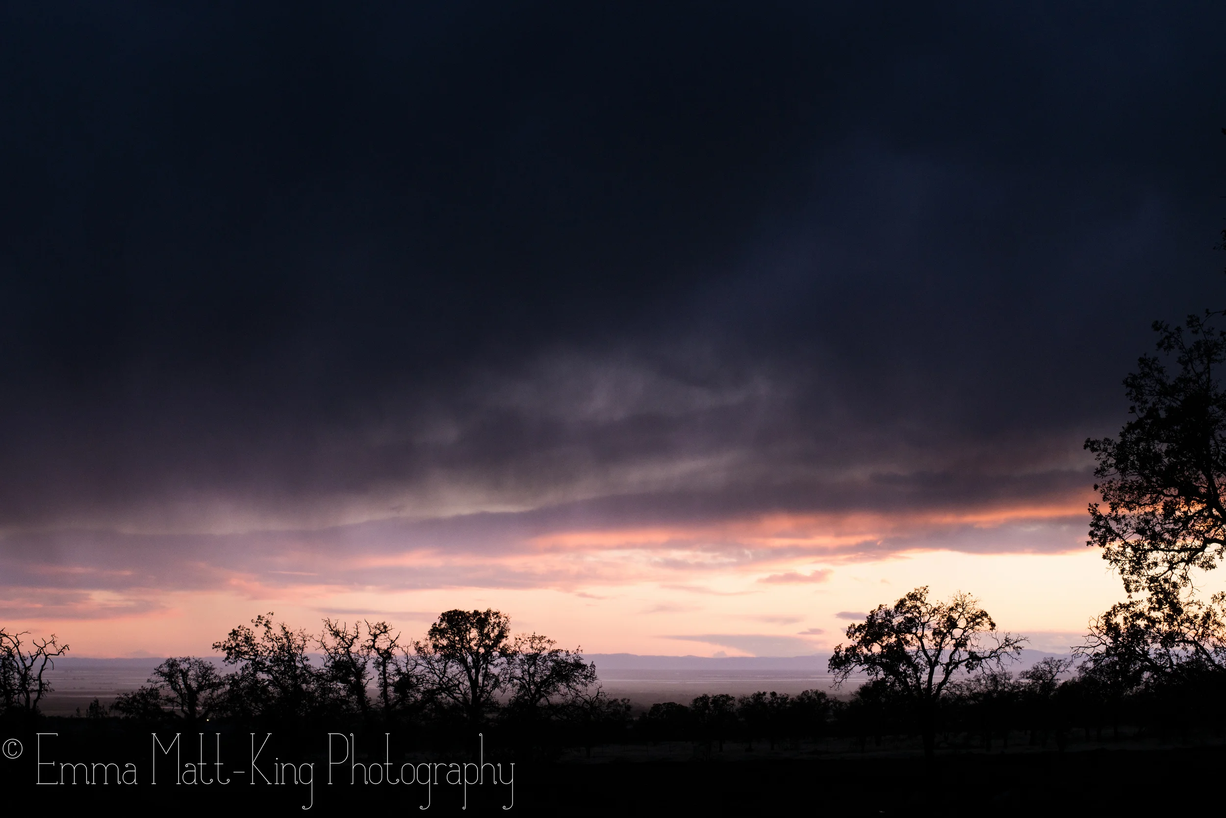 Emma Matt-King Photography-15.jpg