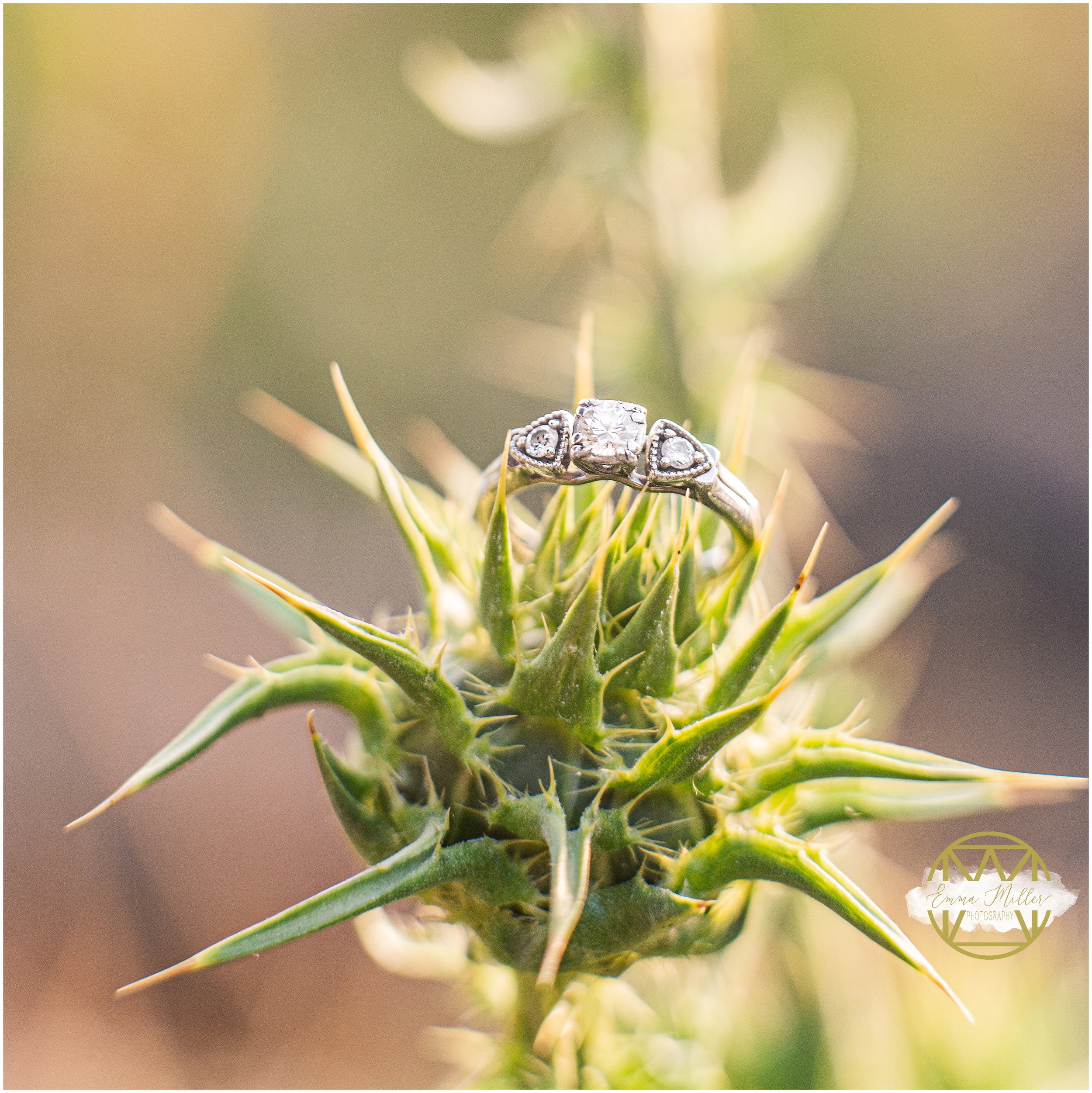 Chico ca Engagement photographer Laura+Augie15.jpg