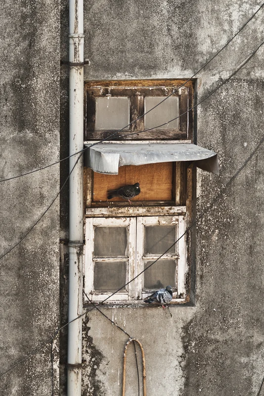 DSC_0261 as Smart Object-1.jpg