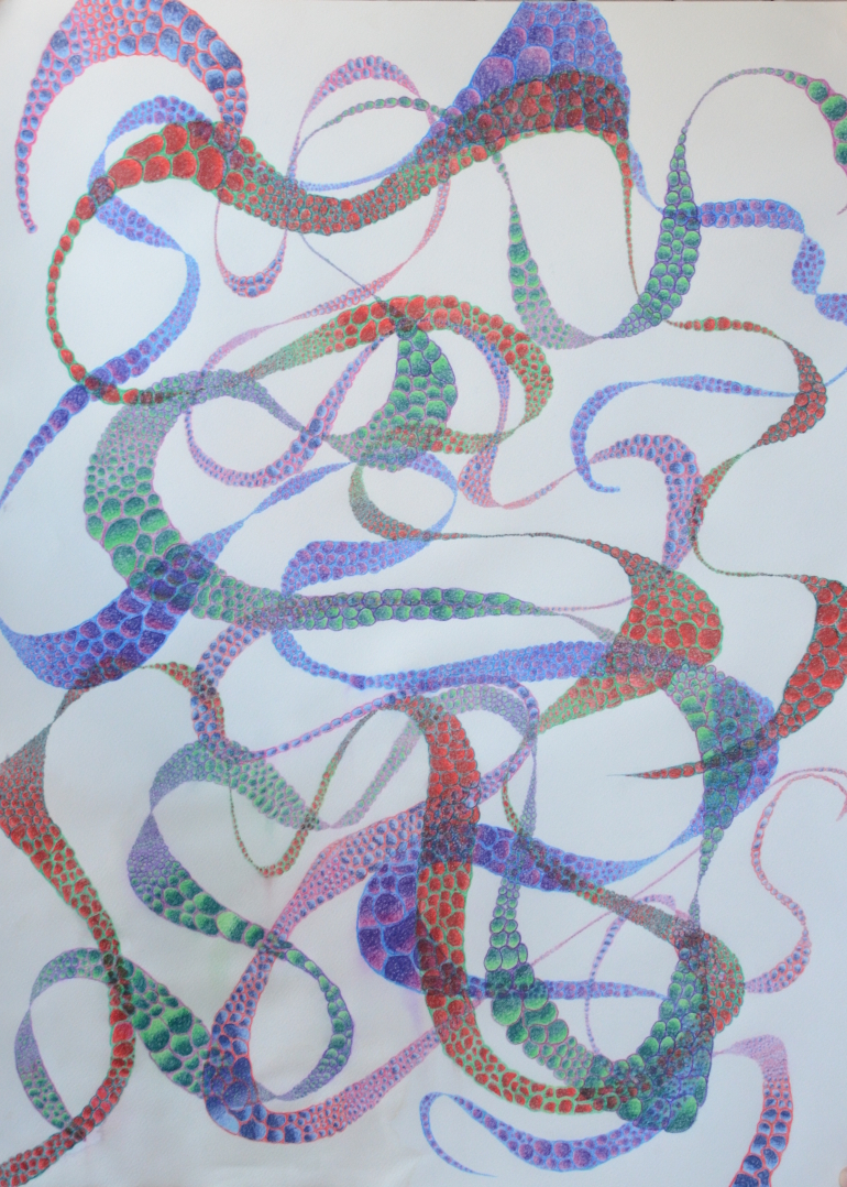  Julian Baslyk  Collaboration of Ribbons #1, 2016  Color Pencil on paper 