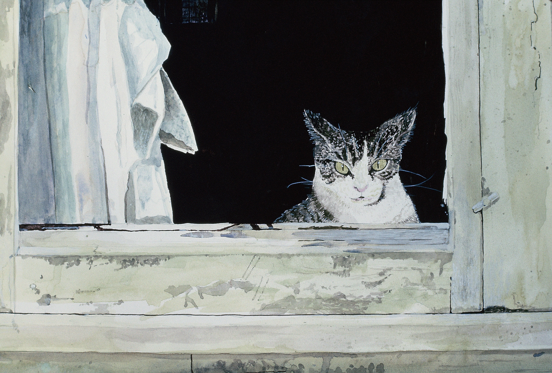 "Watch Cat"