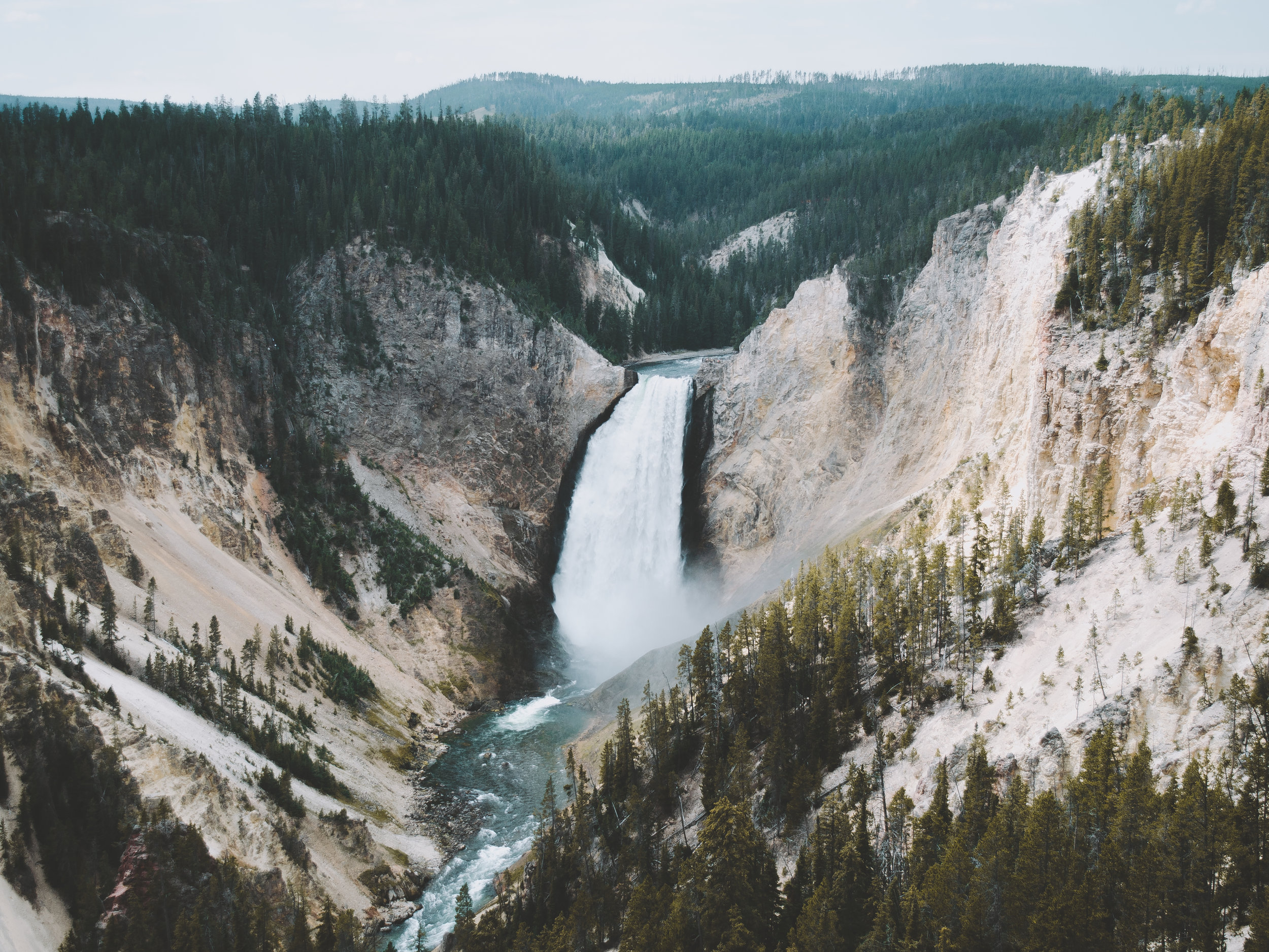 Lower Yellowstone Falls, Yellowstone National Park, Wyoming