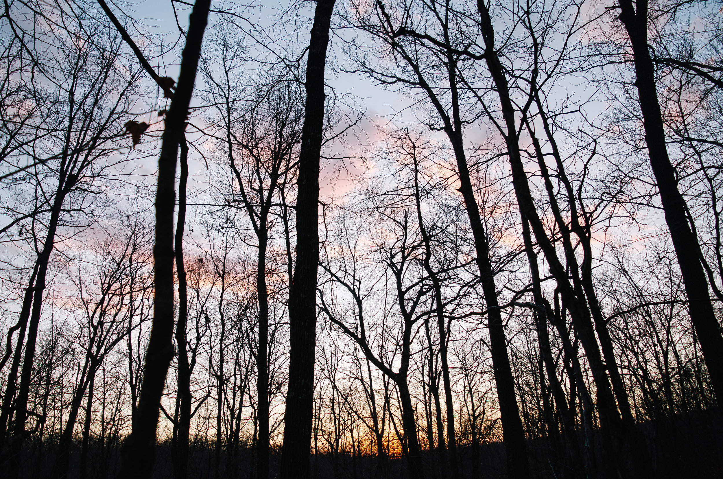 Last light on the trail