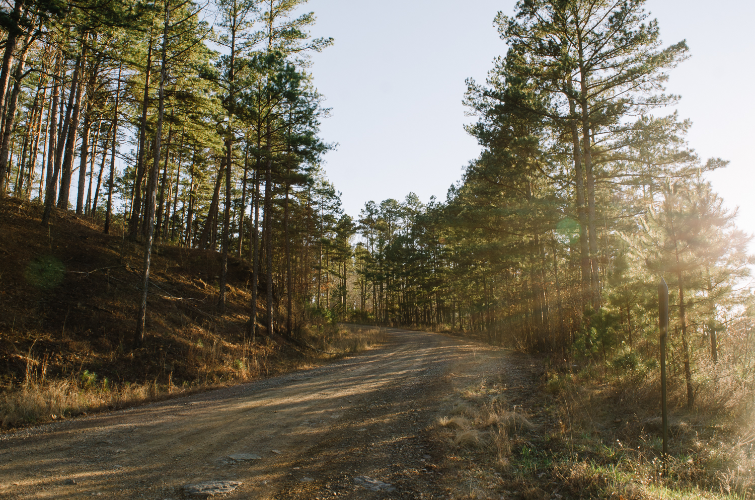 The gravel road to the Arkansas Sphinx. 