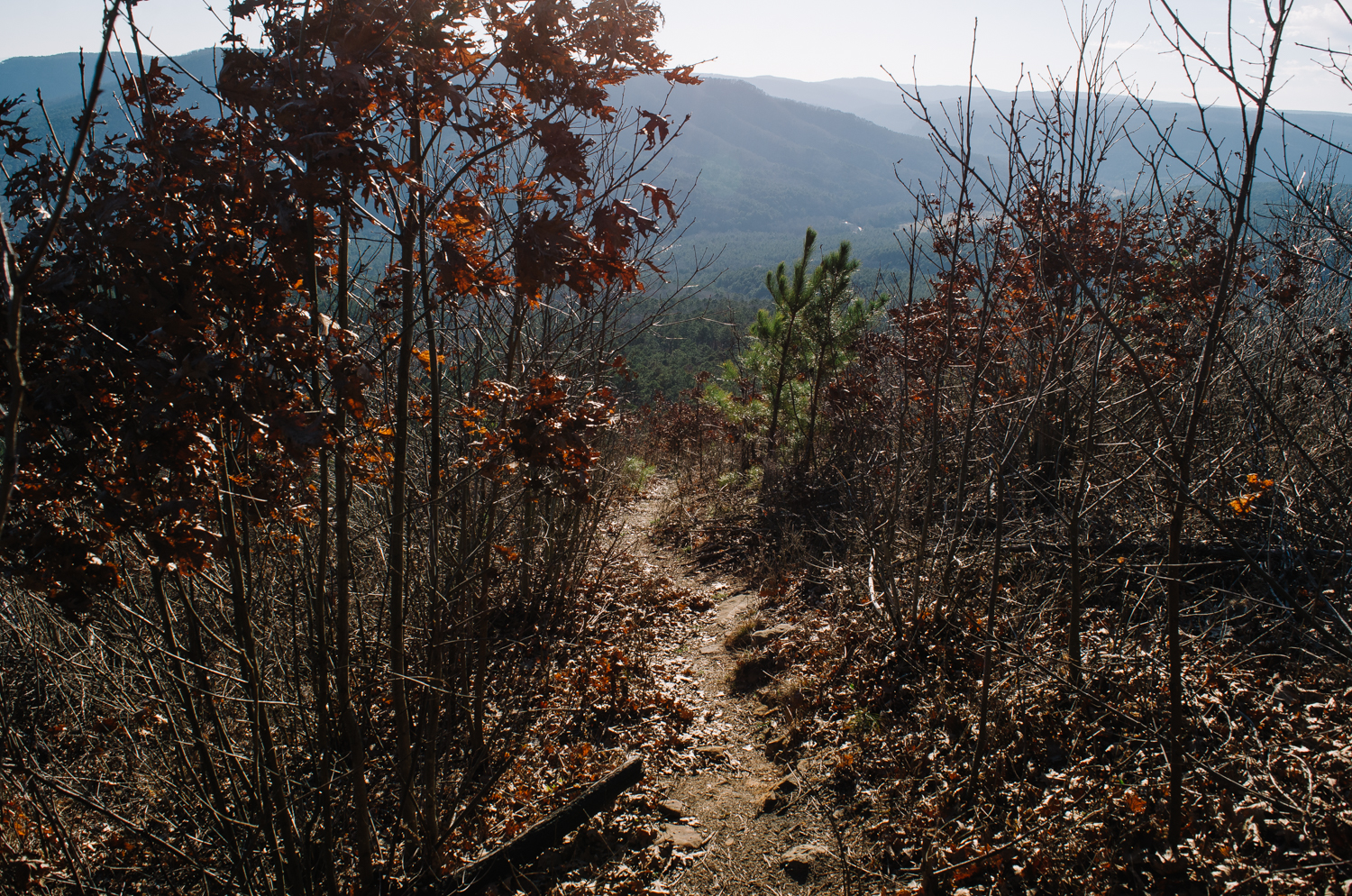 The trail and views up to the Arkansas Sphinx.