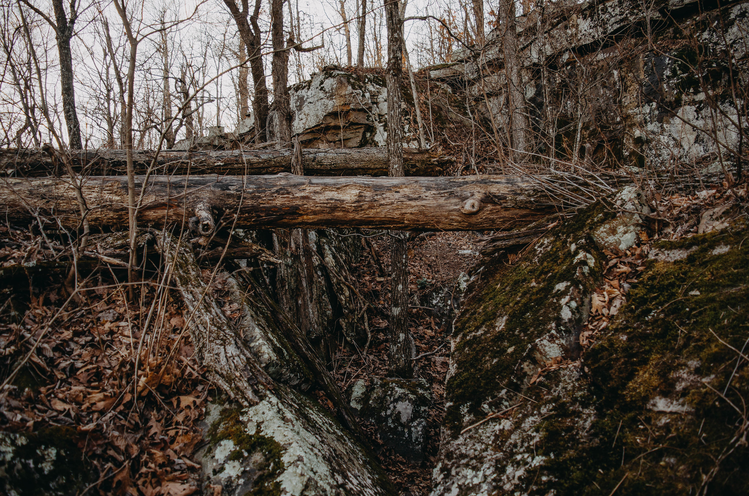 The faint trail meanders around and under fallen trees and boulders.