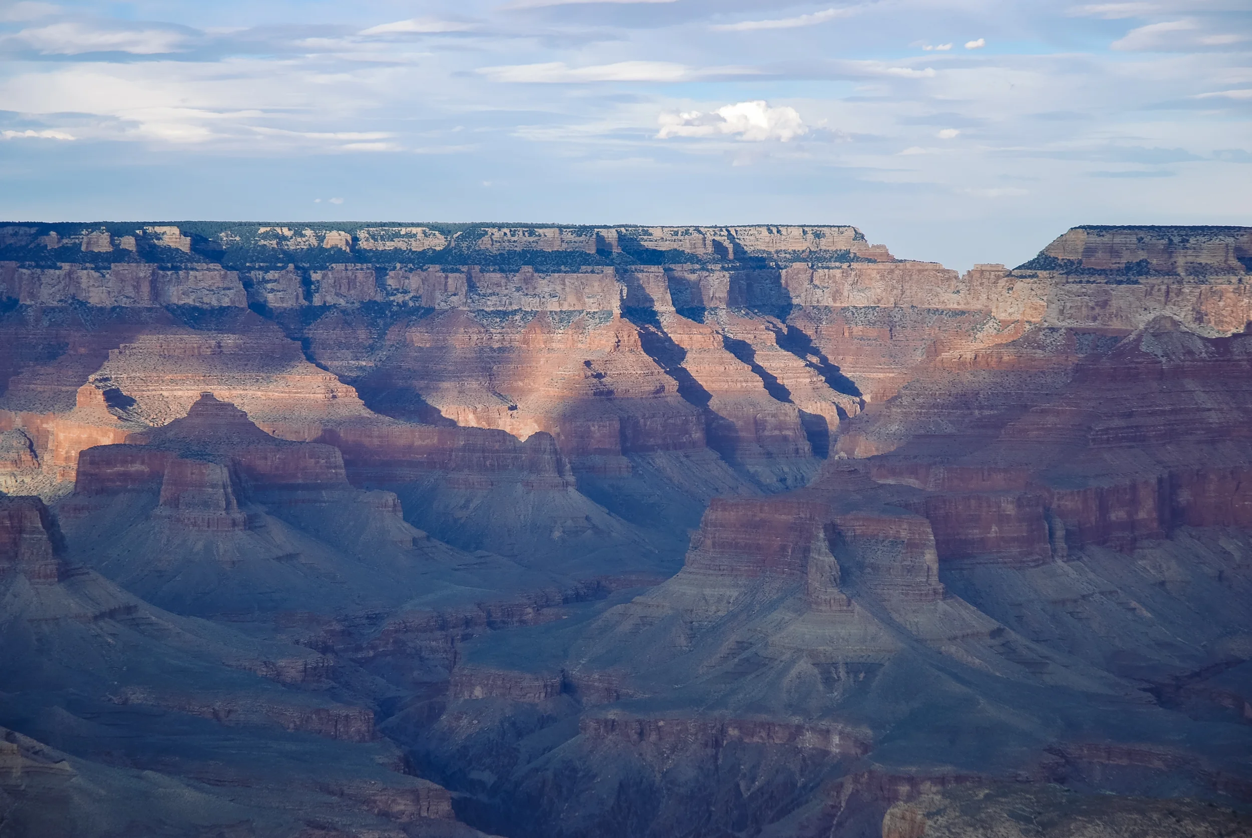 DSC_7370-2.jpg