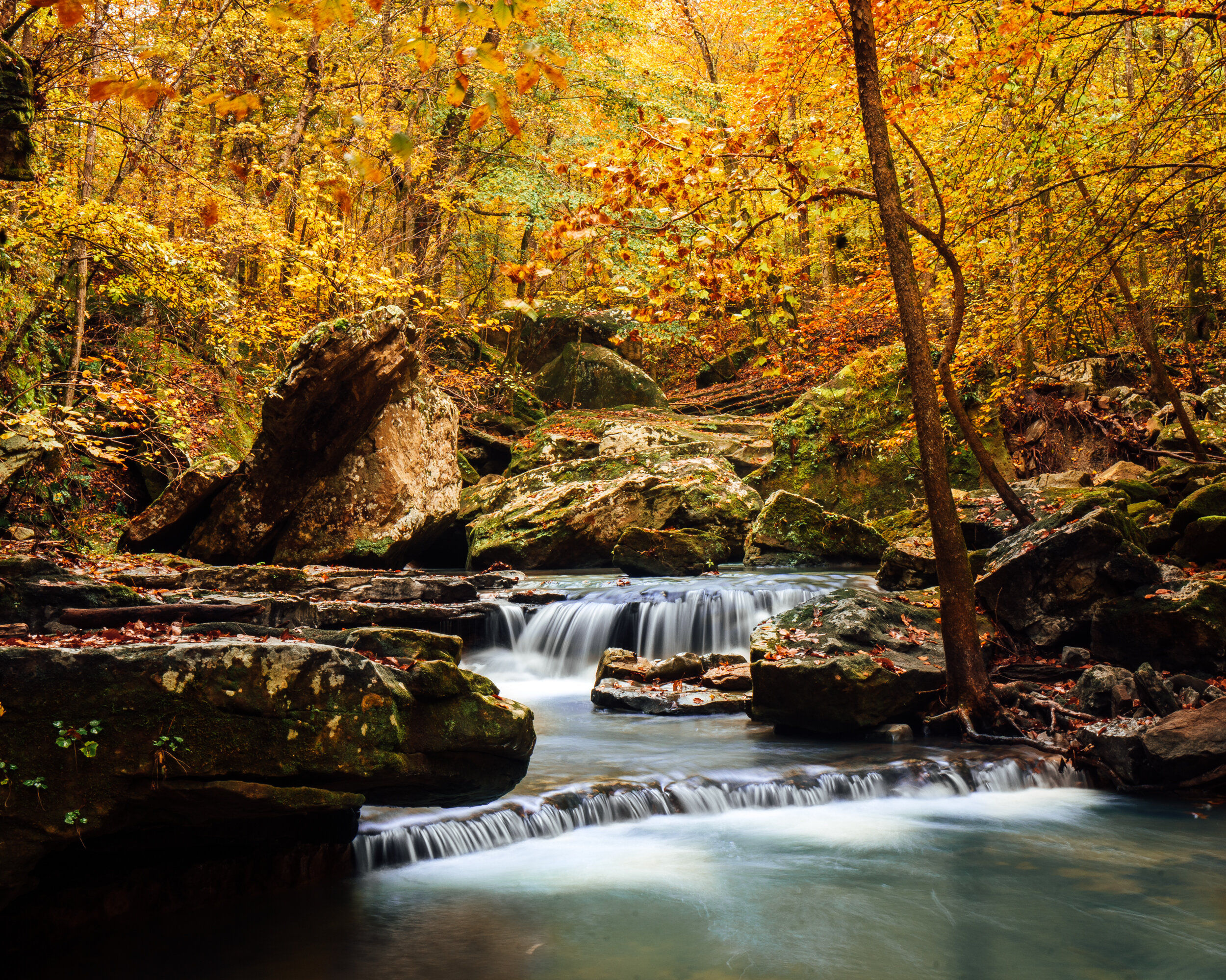 SMITH CREEK CASCADES AUTUMN