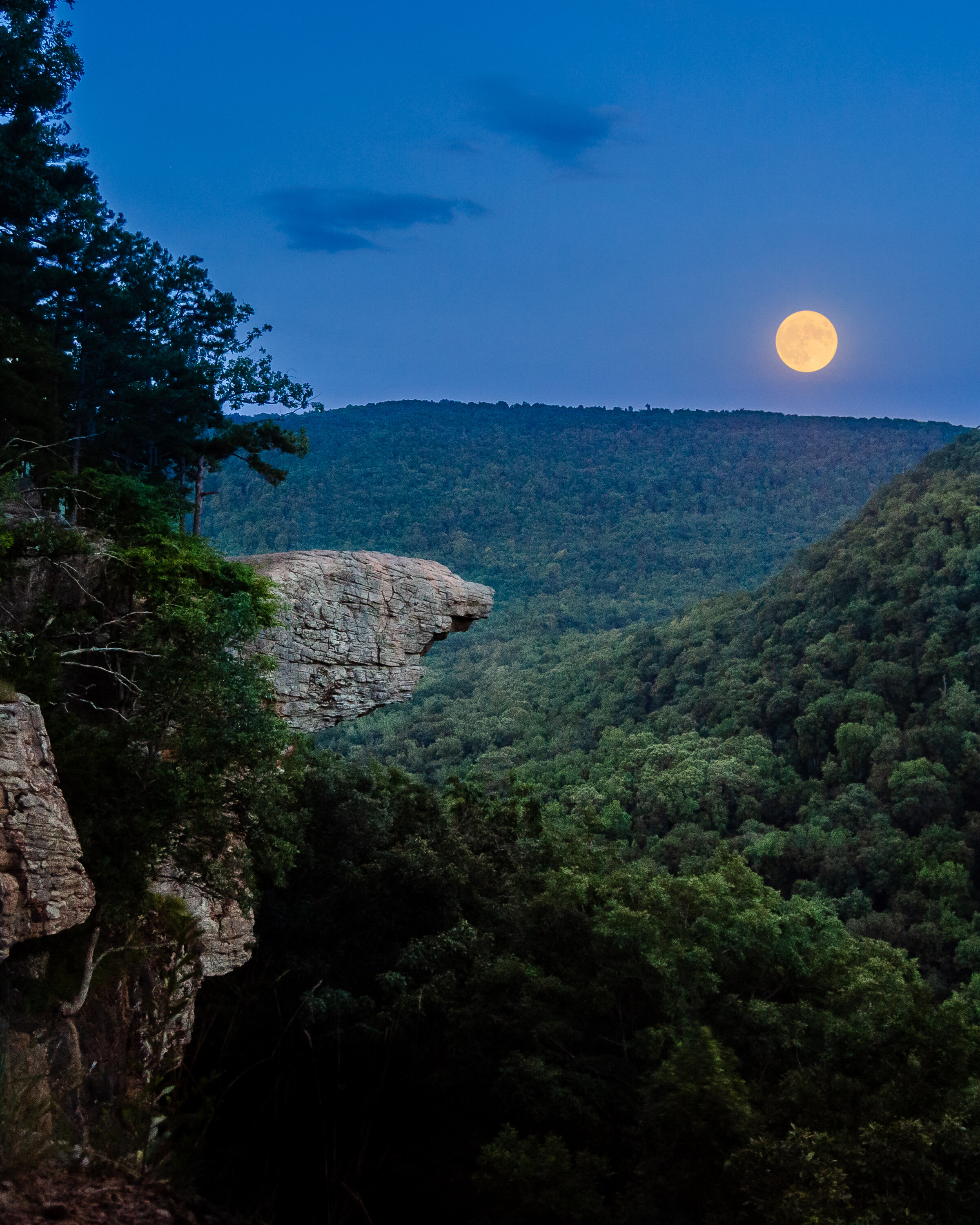 WHITAKER POINT MOONRISE