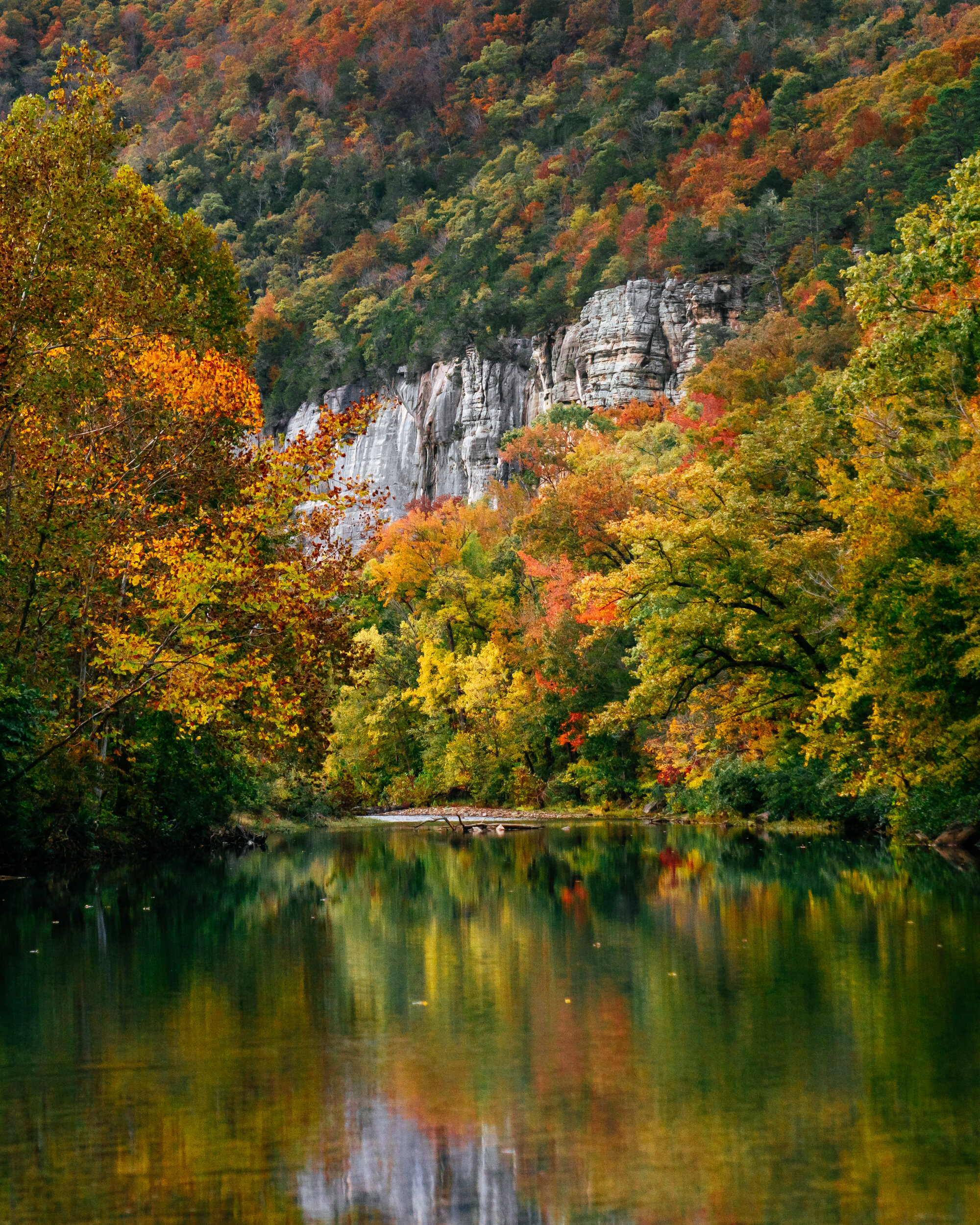 ROARK BLUFF REFLECTIONS AUTUMN