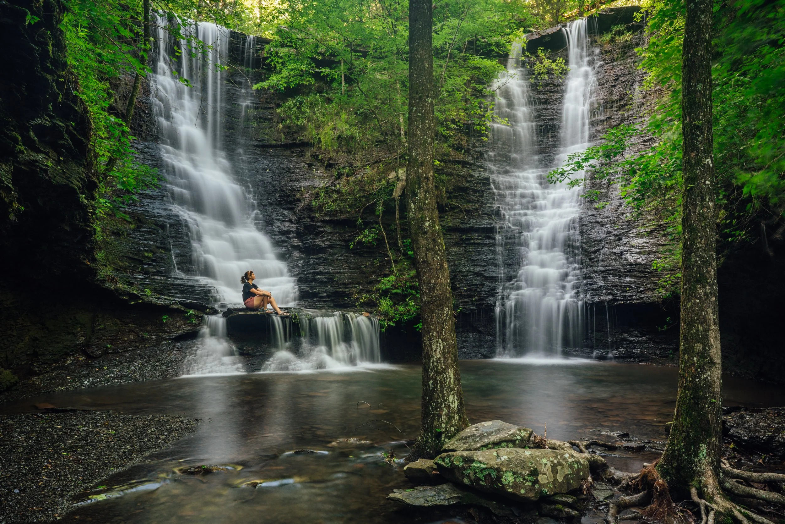 Ponca Arkansas Camping Near Whitaker Point 4+ Thousand Buffalo
