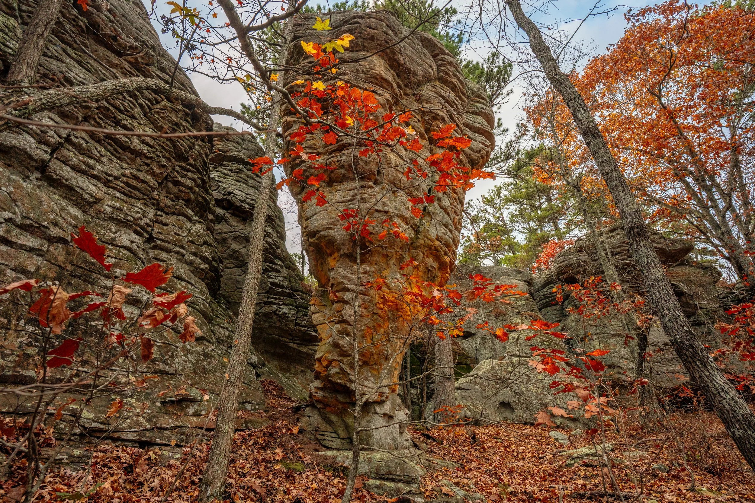 Stem Rock Natural Area Hike Guide | Oxley,  Arkansas 