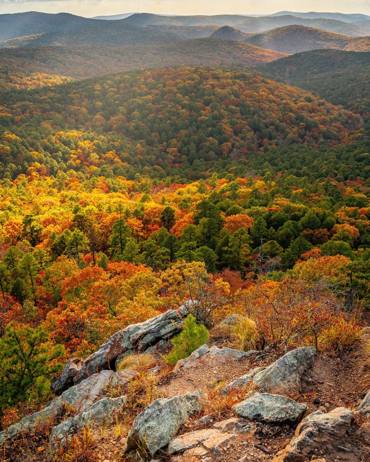 A collection of some of my favorite images I took this autumn 🍁 All of these and many more are currently available as prints on my website and are 25% off today! 🖼️